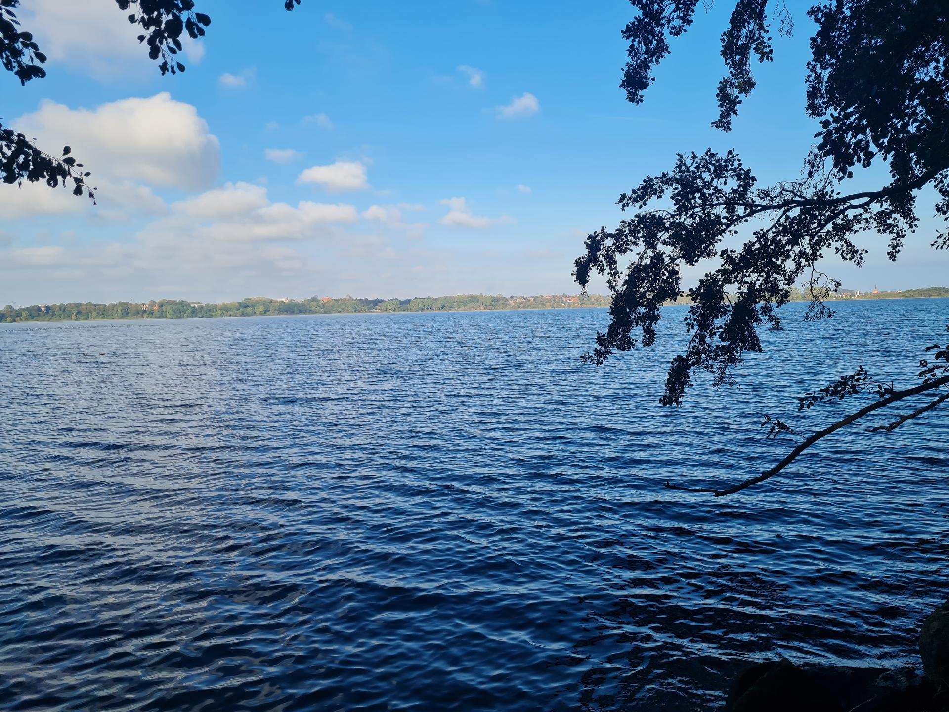 Ansicht 3 von Tierarztpraxis Gut Windeby