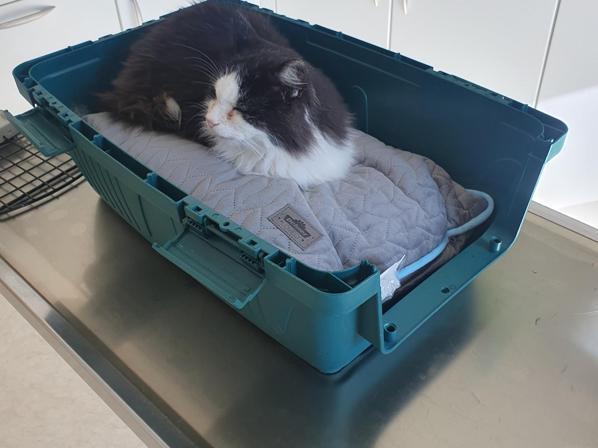 Ansicht 1 von Tierarzt Huber