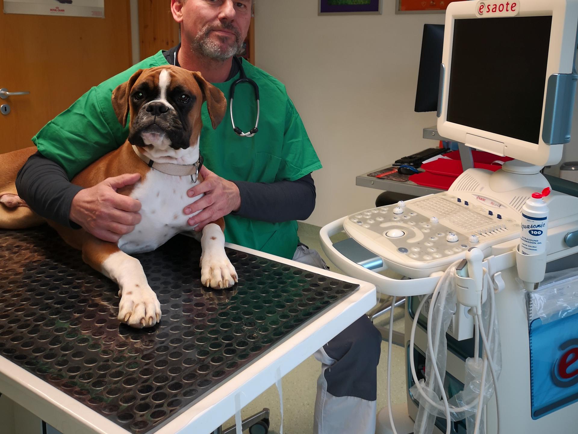 Ansicht 2 von Dr. med. vet. Helmut Gmeiner. Fachtierarzt für Kleintiere