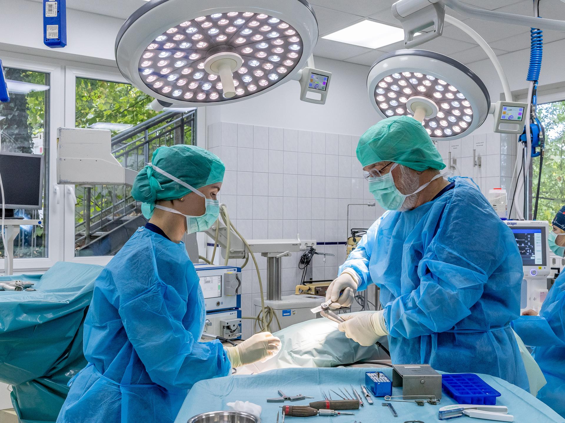 Ansicht 1 von Kleintierklinik Wasbek GmbH & Co. KG