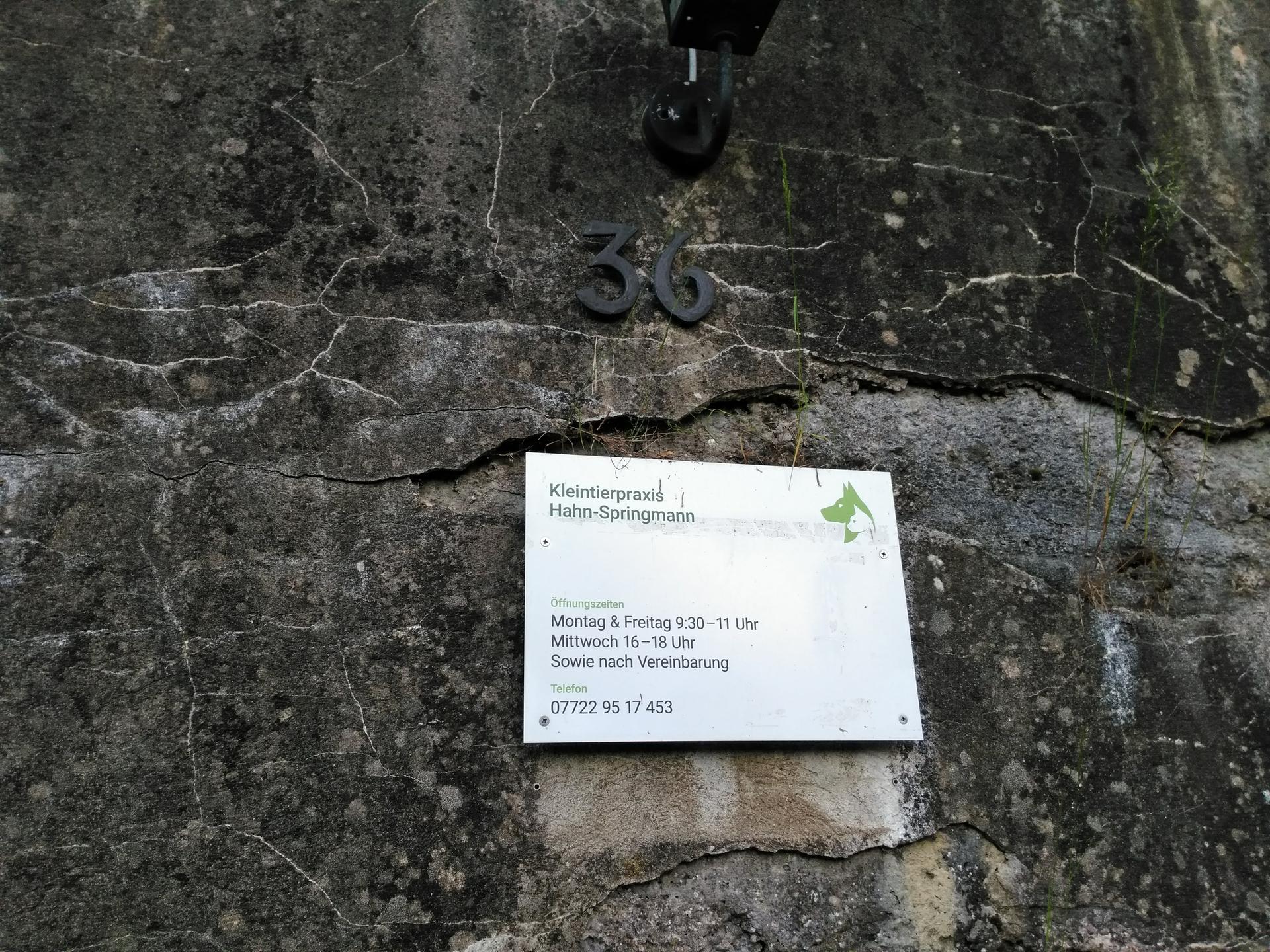 Ansicht 1 von Hahn-Springmann