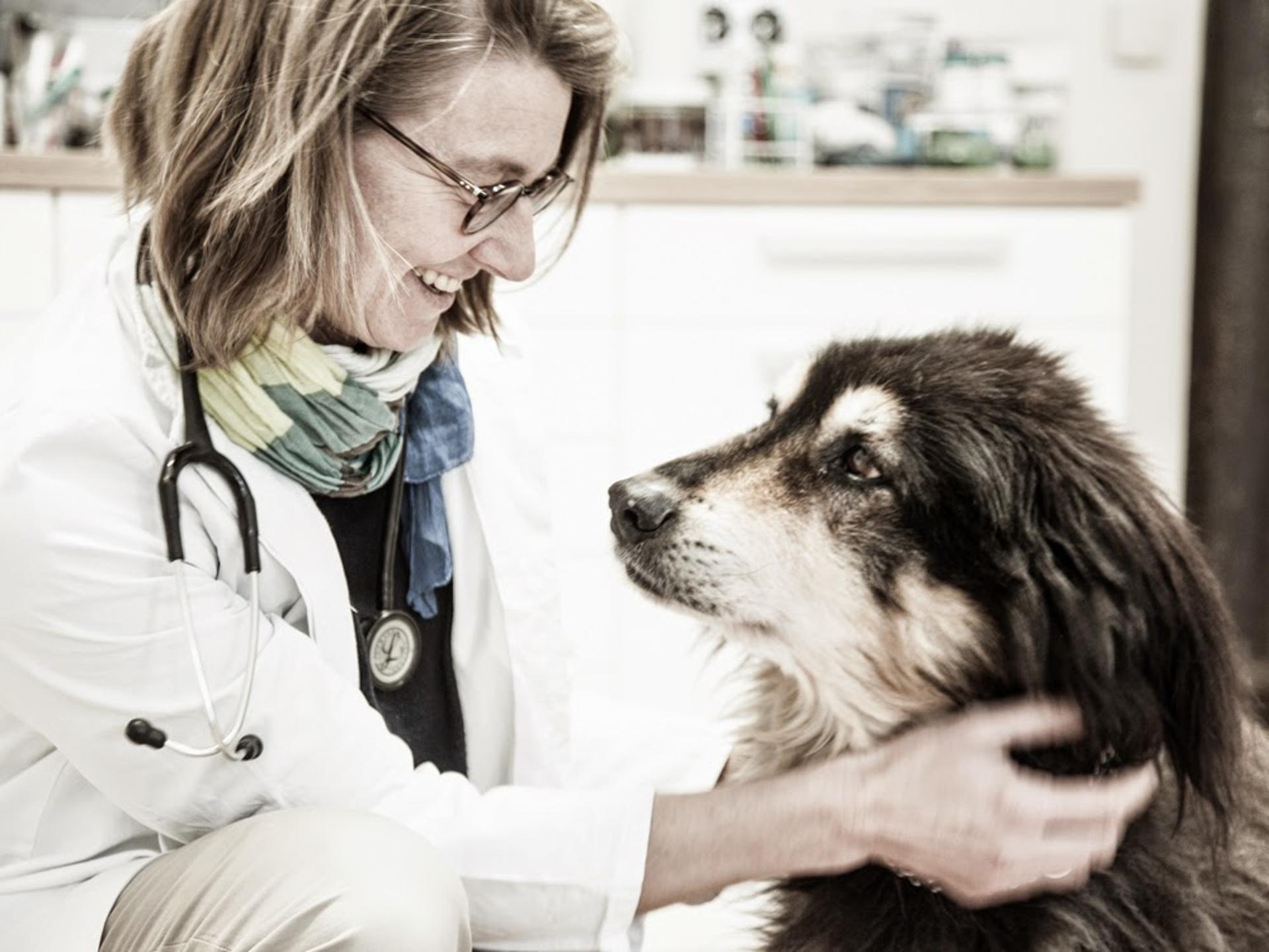 Ansicht 3 von Dr.med.vet. Kerstin Schwarzer Tierärztin