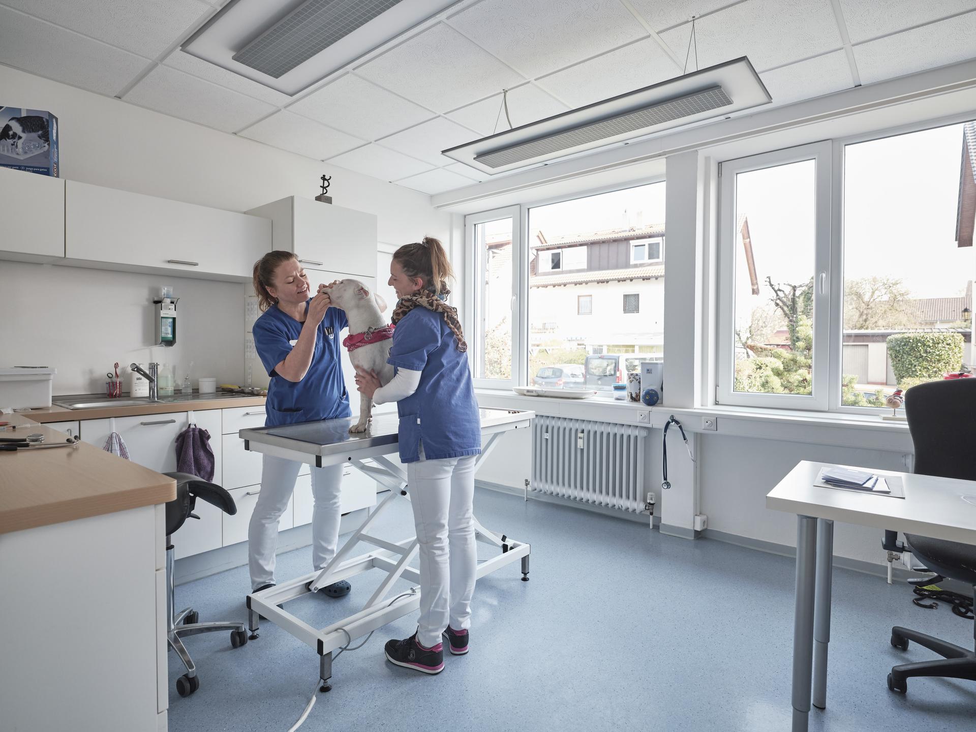 Ansicht 1 von Kleintierpraxis Müllheim