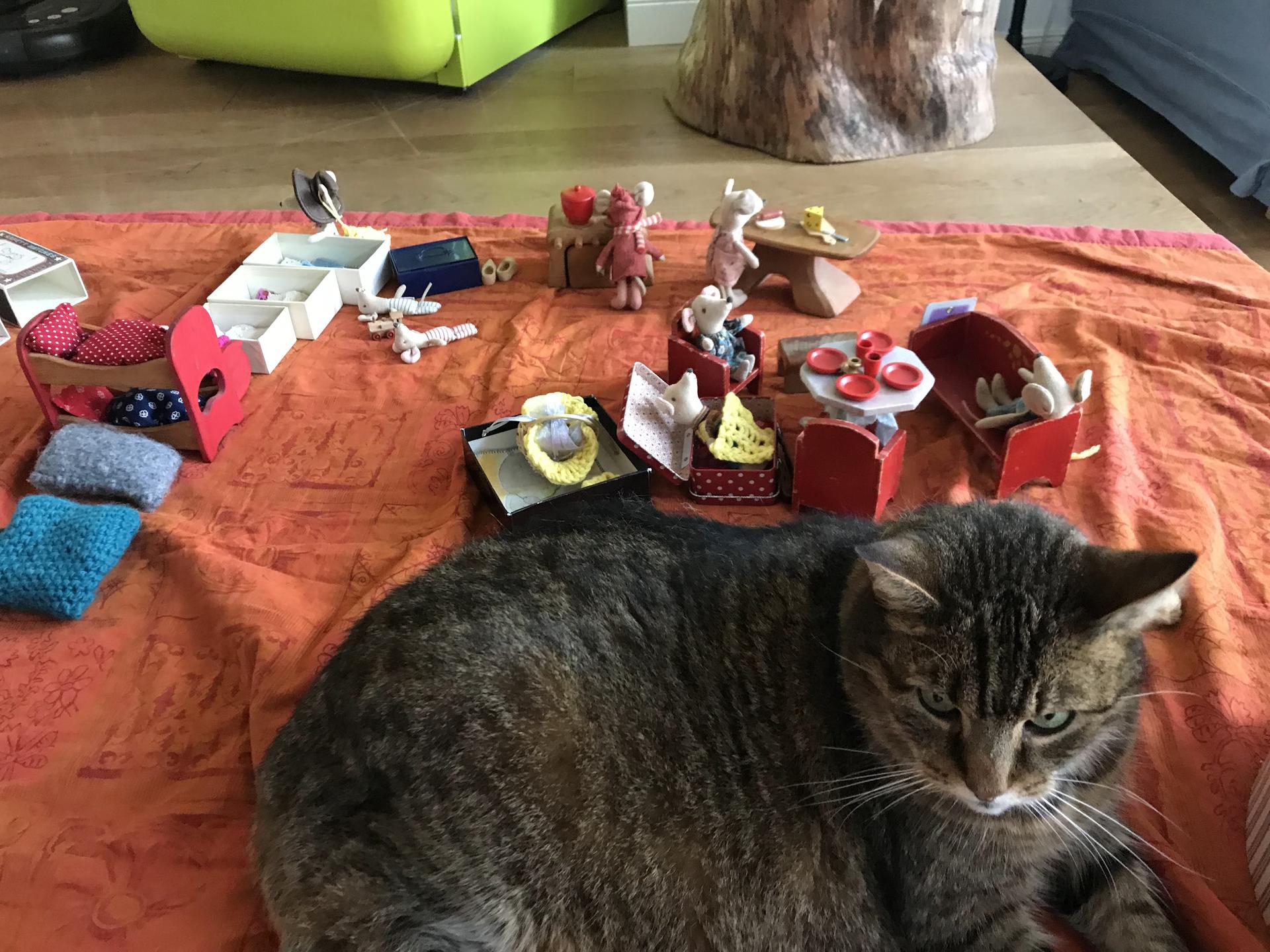 Ansicht 2 von Kleintierpraxis Dr. med. vet Charlotte Trede