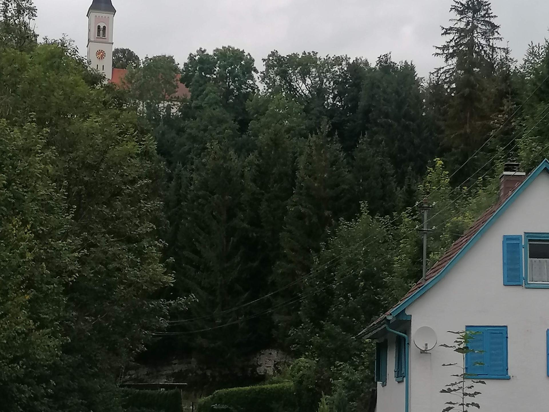 Ansicht 3 von Tierarztpraxis Kosinc