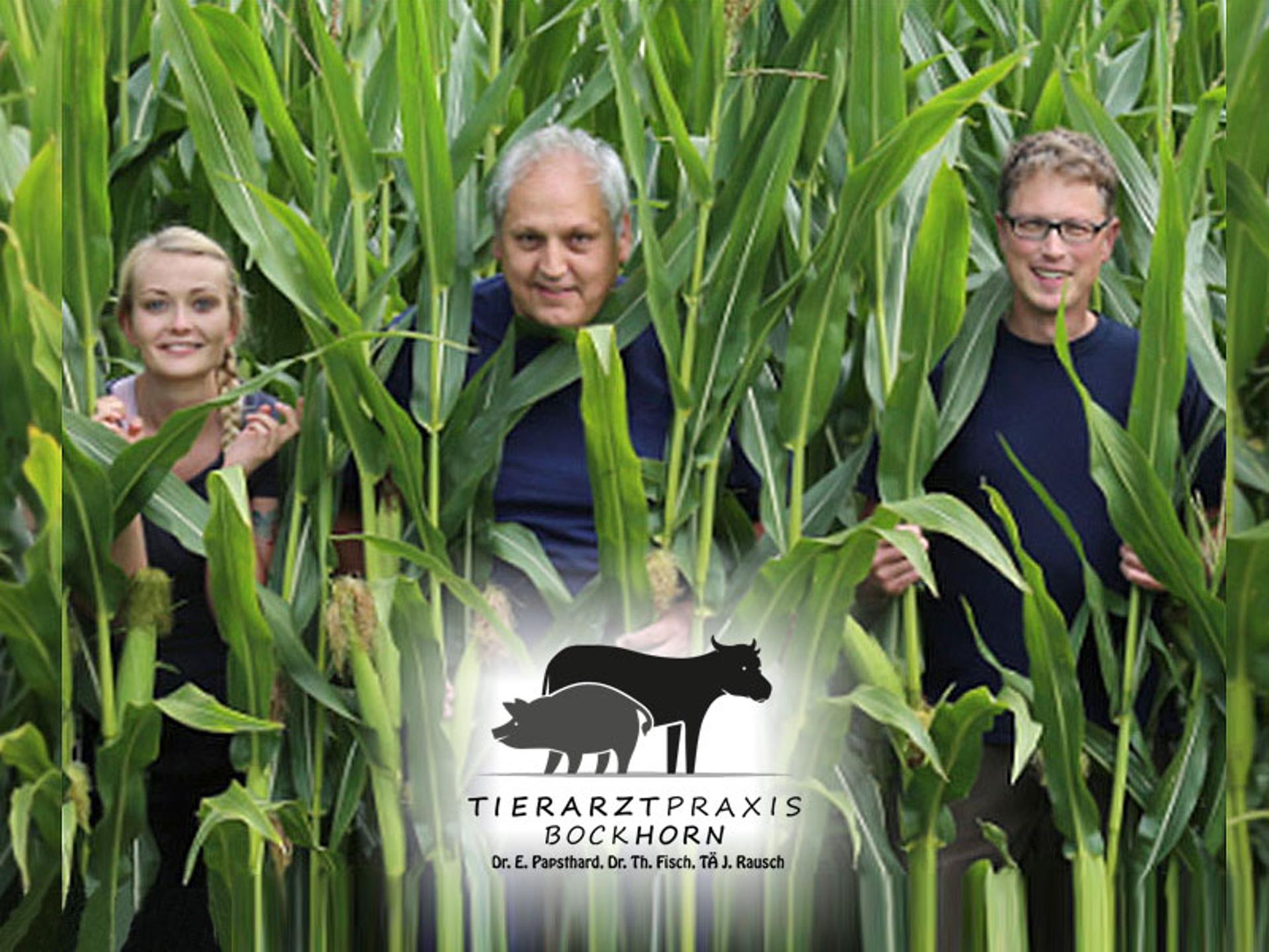 Ansicht 1 von Tierarztpraxis Bockhorn