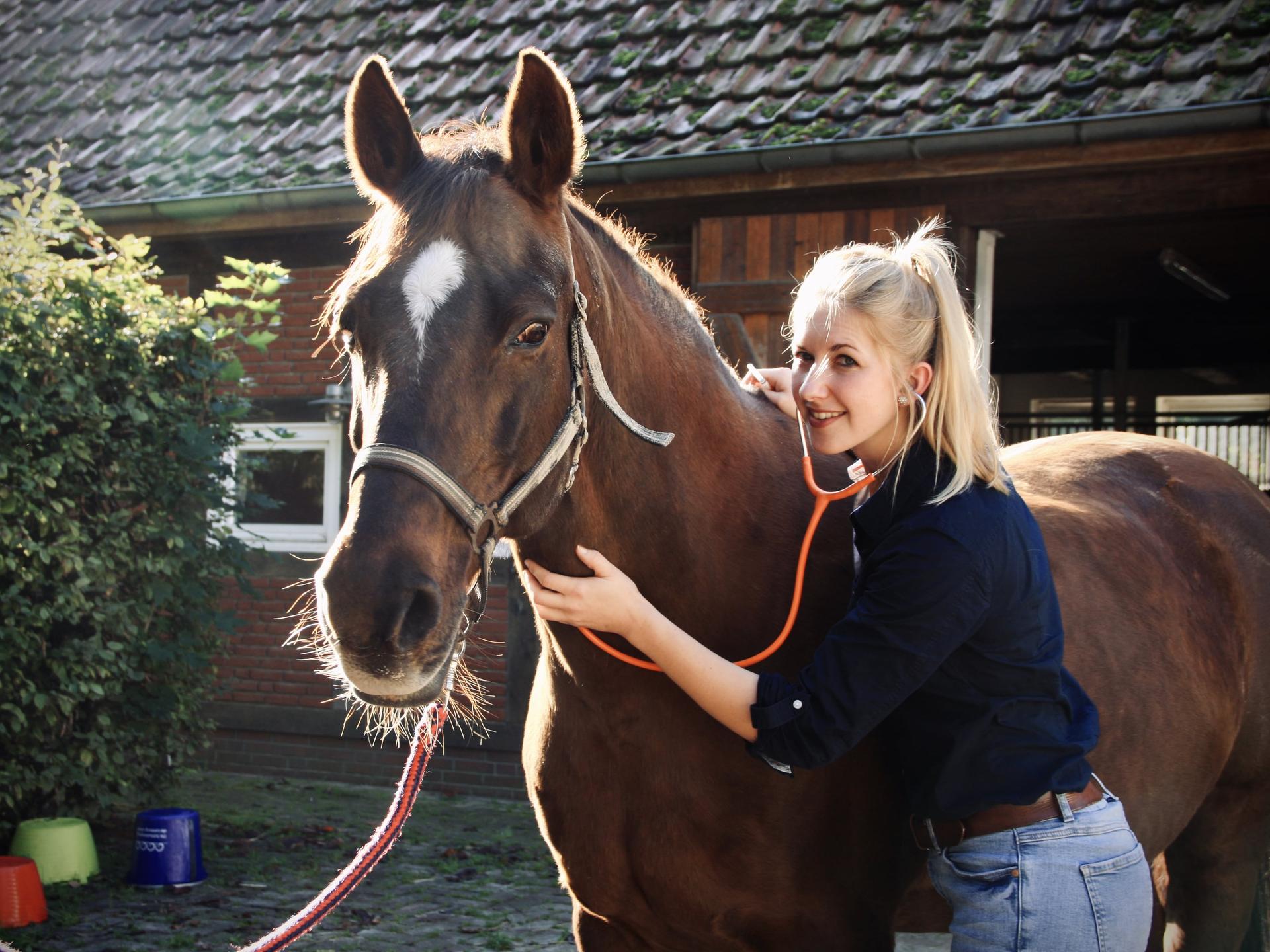Ansicht 1 von Equuria GbR | Pferdepraxis