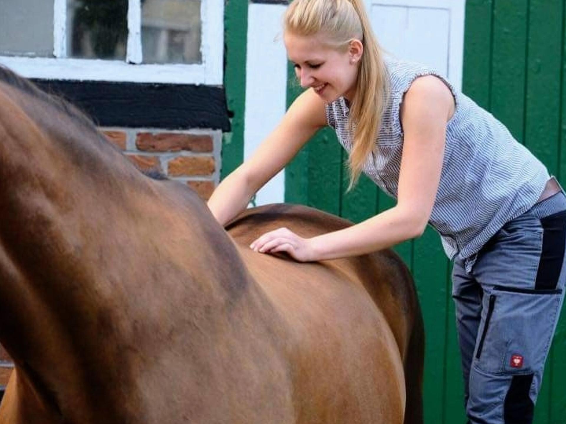 Ansicht 2 von Equuria GbR | Pferdepraxis