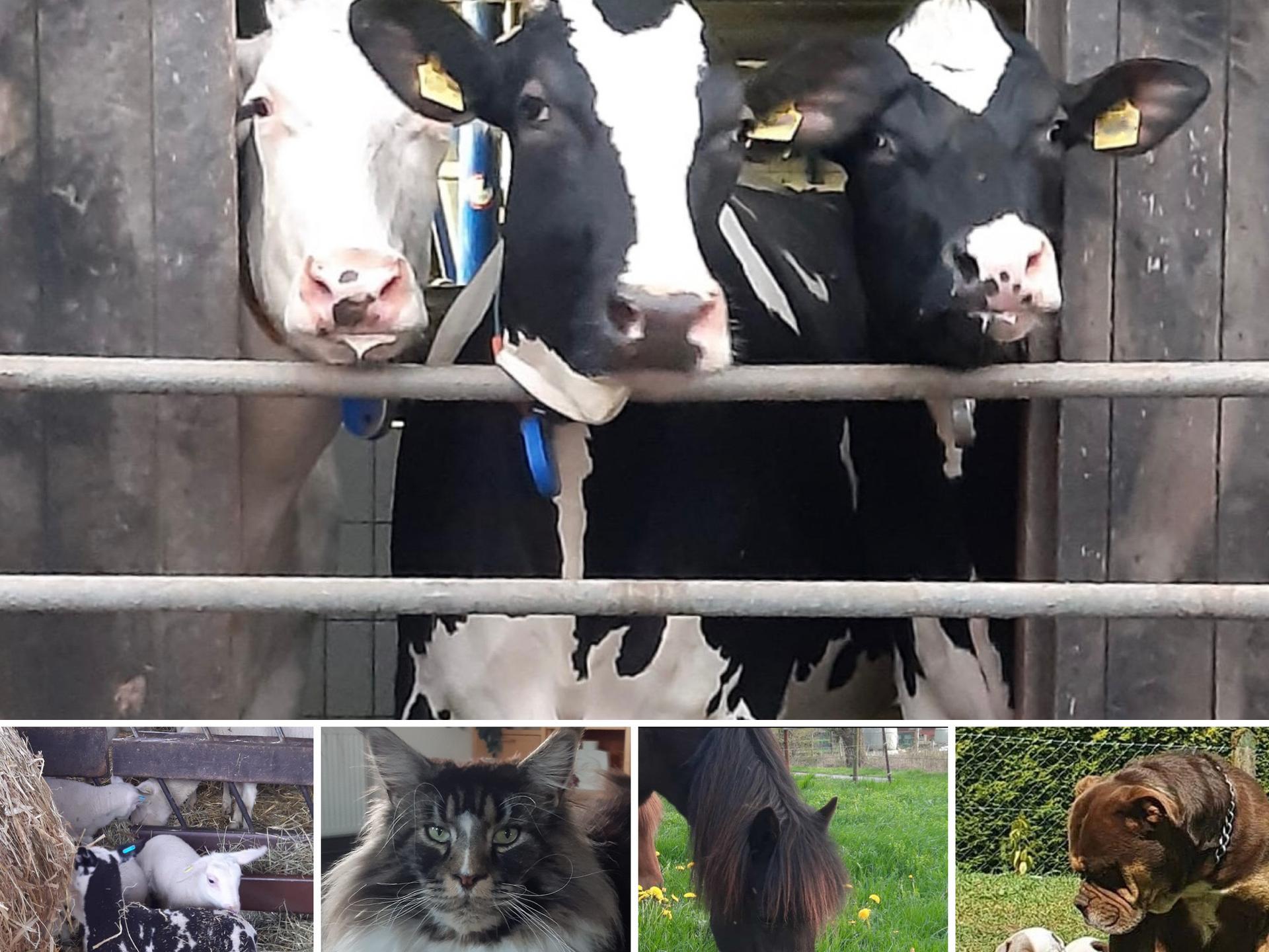 Ansicht 1 von Irmgard Erdweg Tierärztin