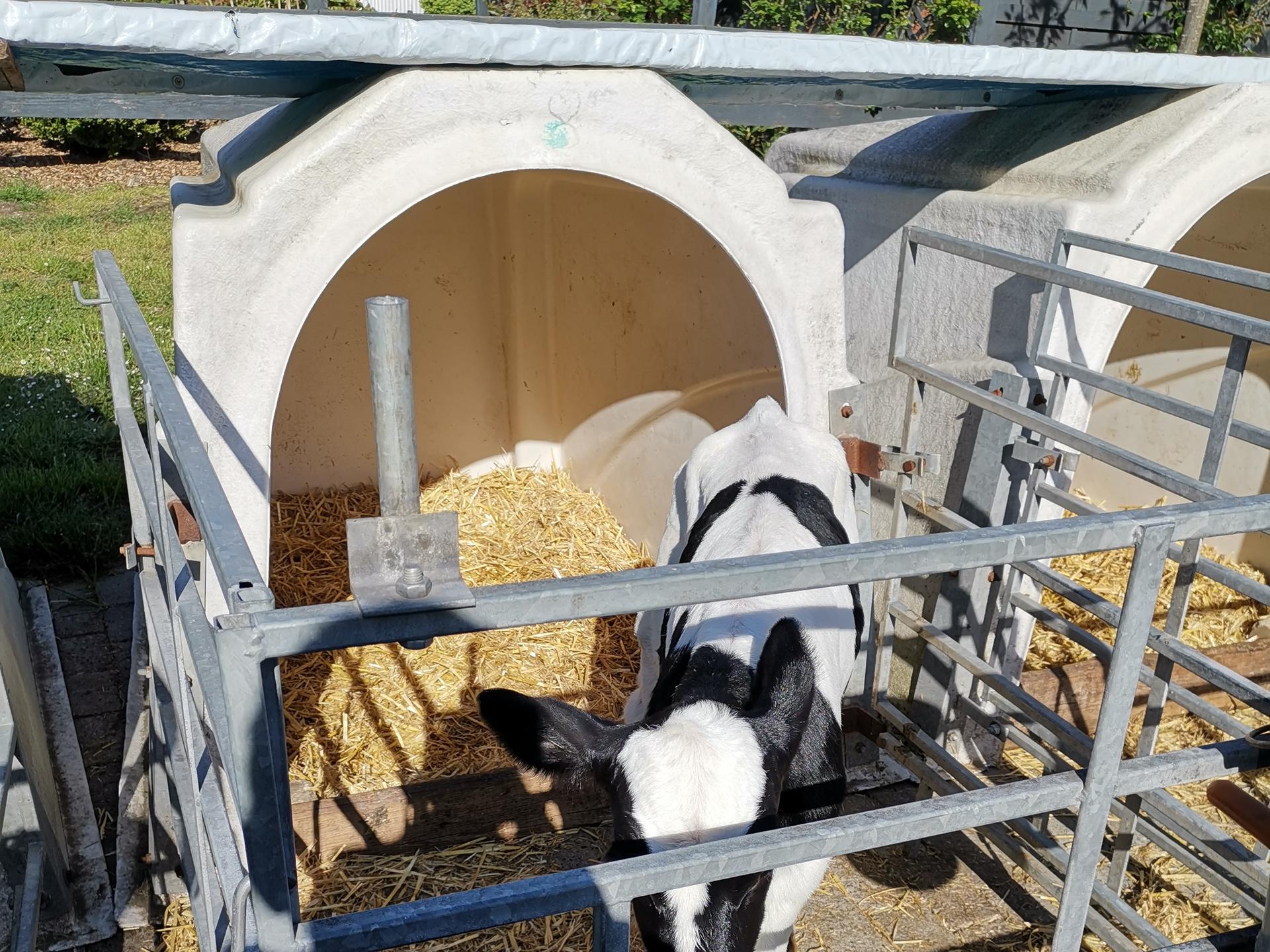 Ansicht 2 von Irmgard Erdweg Tierärztin
