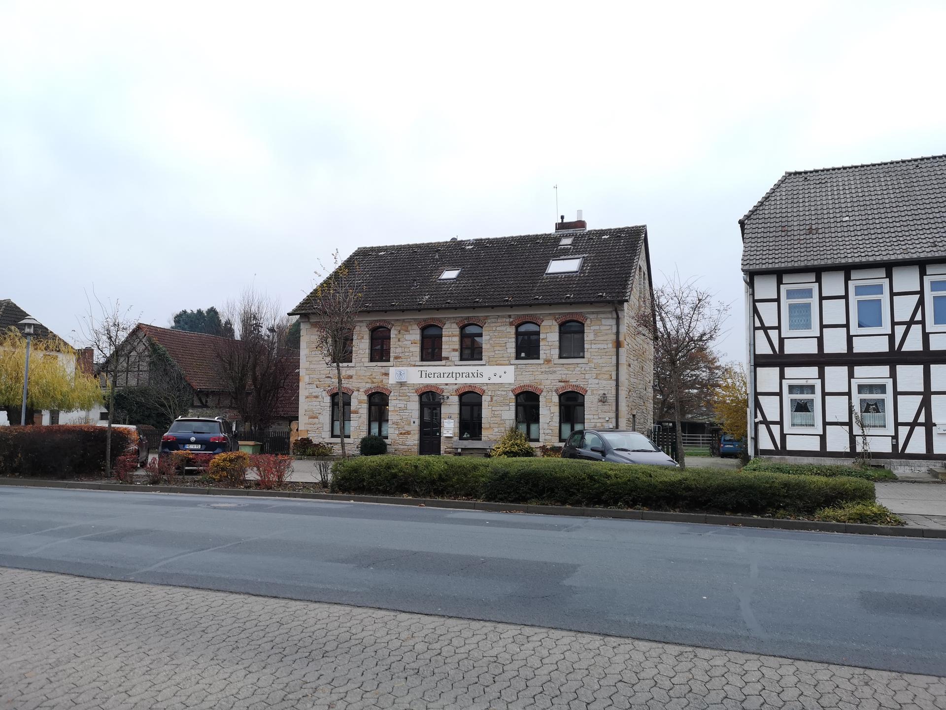 View 3 of Dipl.med.vet.Hilmar Bierstedt