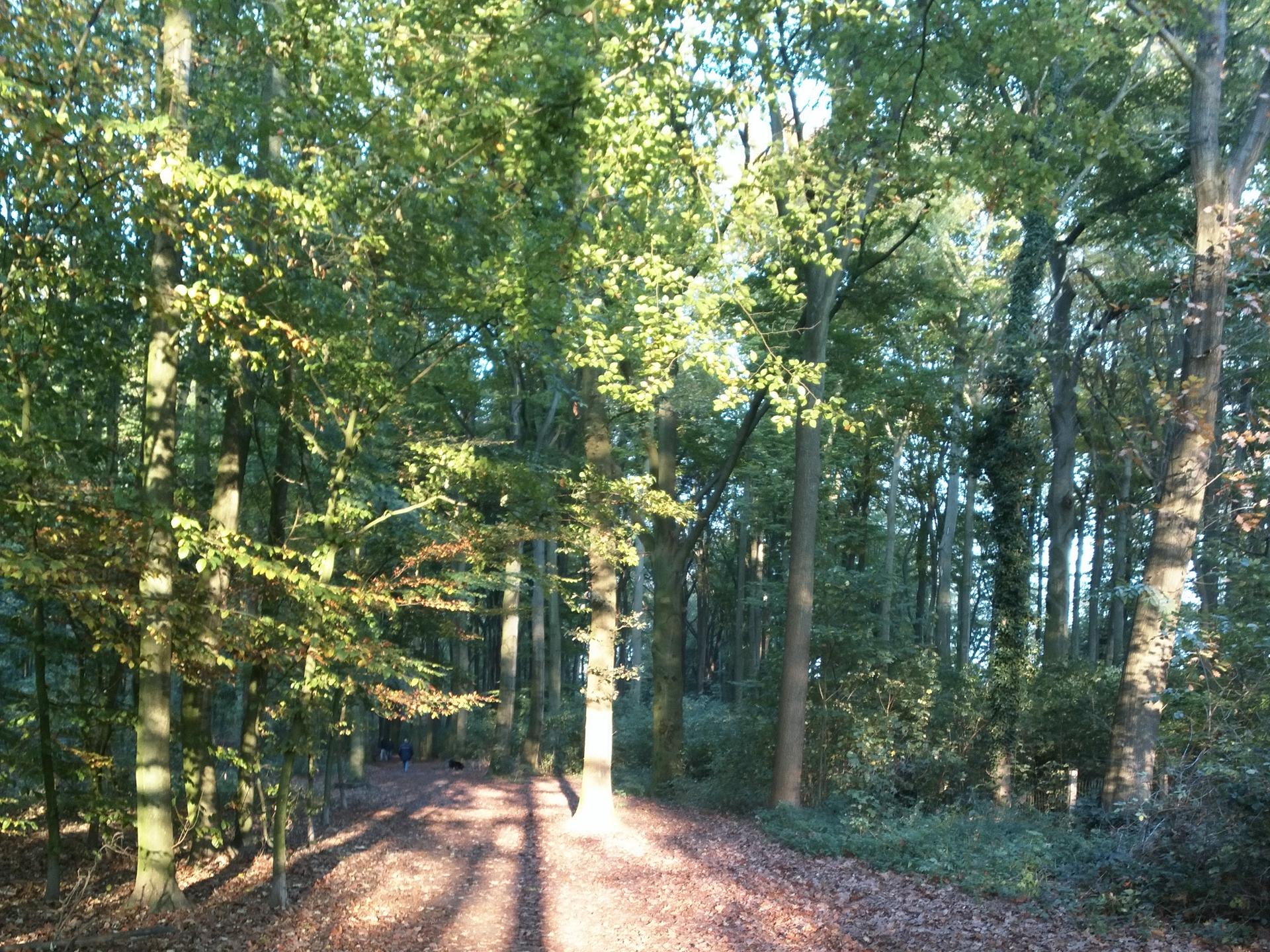 View 2 of Dr. Alexandra Feichtenschlager Tierärztin