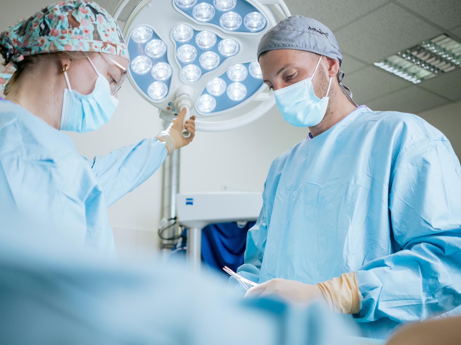 Ansicht 1 von Tiergesundheitszentrum Hamburg