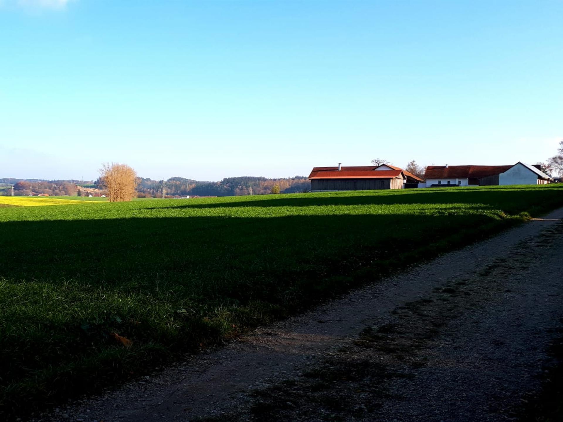Ansicht 2 von Dr. Katja Nitschke, Tierärztin