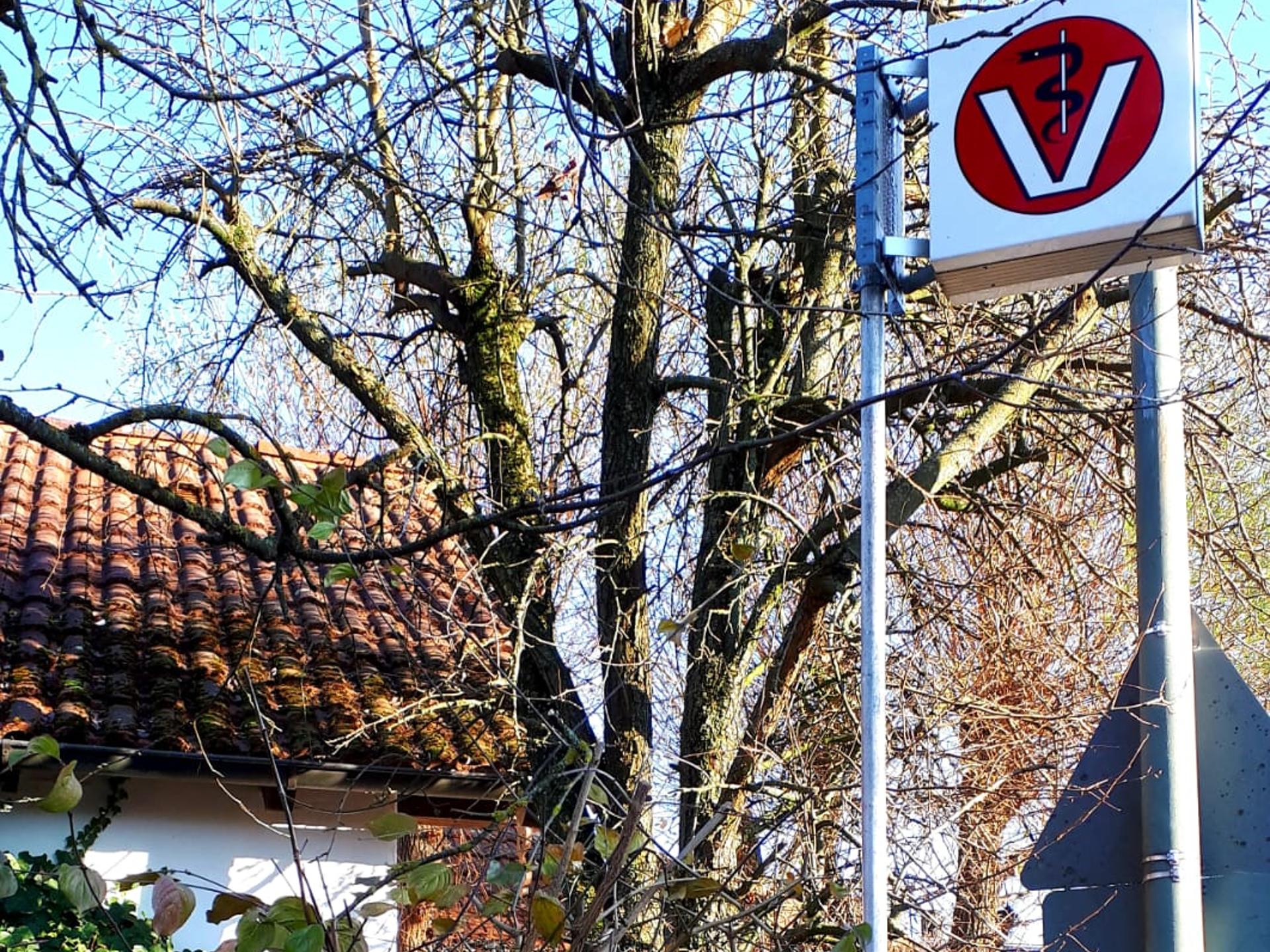Ansicht 3 von Dr. Katja Nitschke, Tierärztin