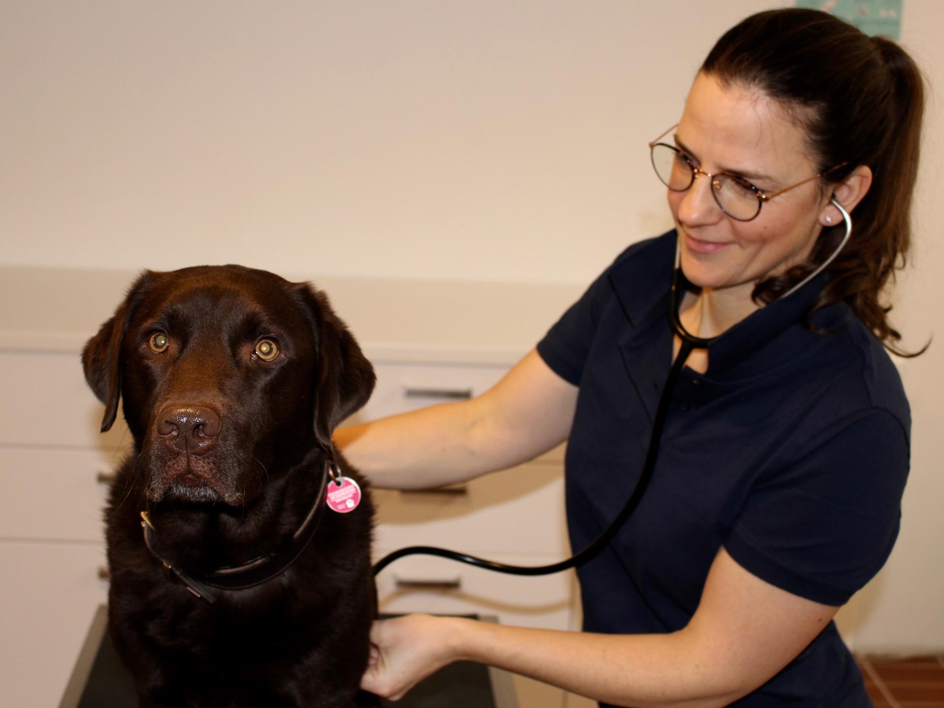 Ansicht 1 von Tierarzt Münsing -Tierärztliche Praxis für Klein- und Heimtiere Dr. med. vet. Andrea Rütz, MBA