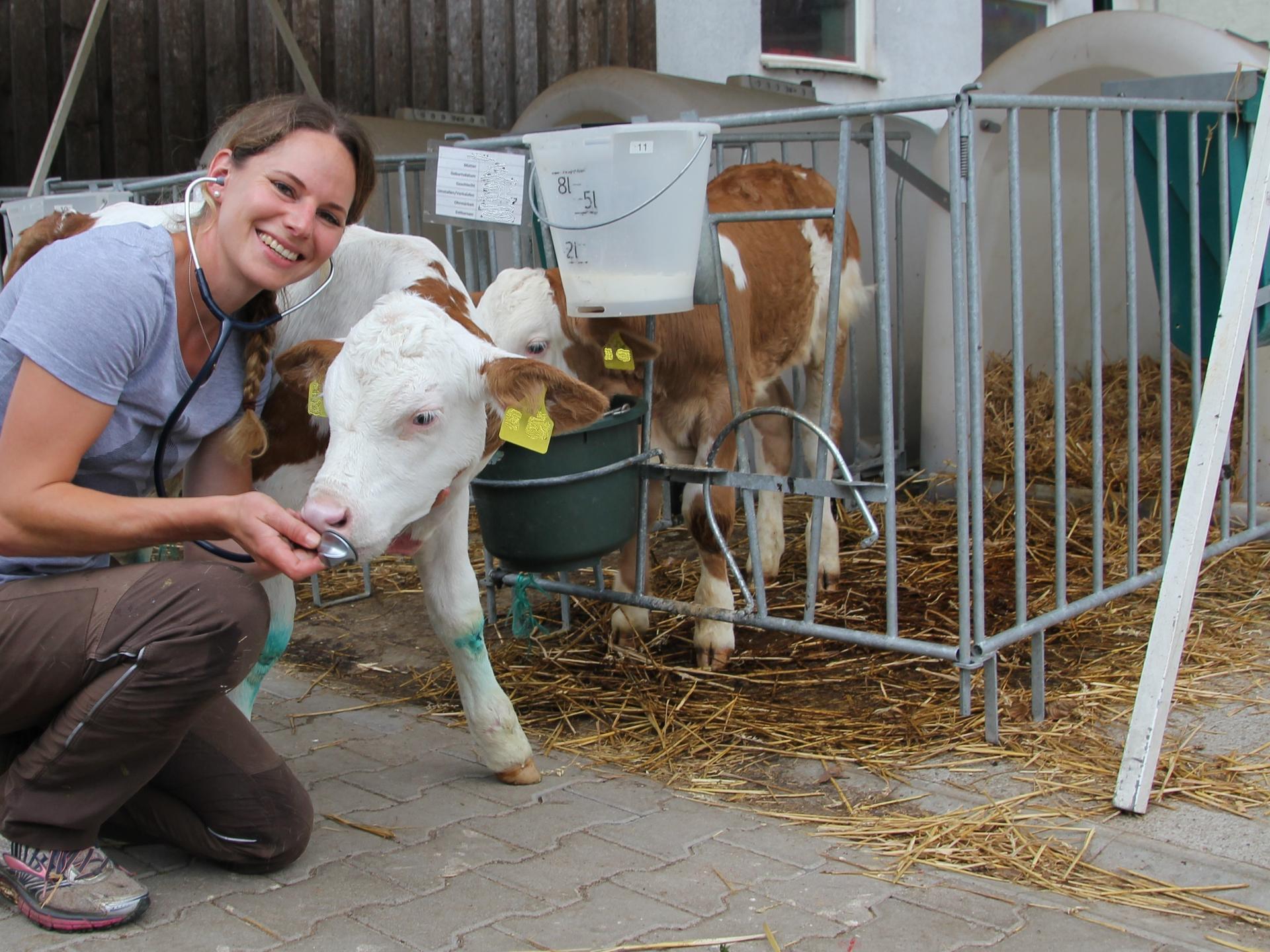 Ansicht 1 von Tierarztpraxis Nina Siegmund für Rinder & kleine Wiederkäuer