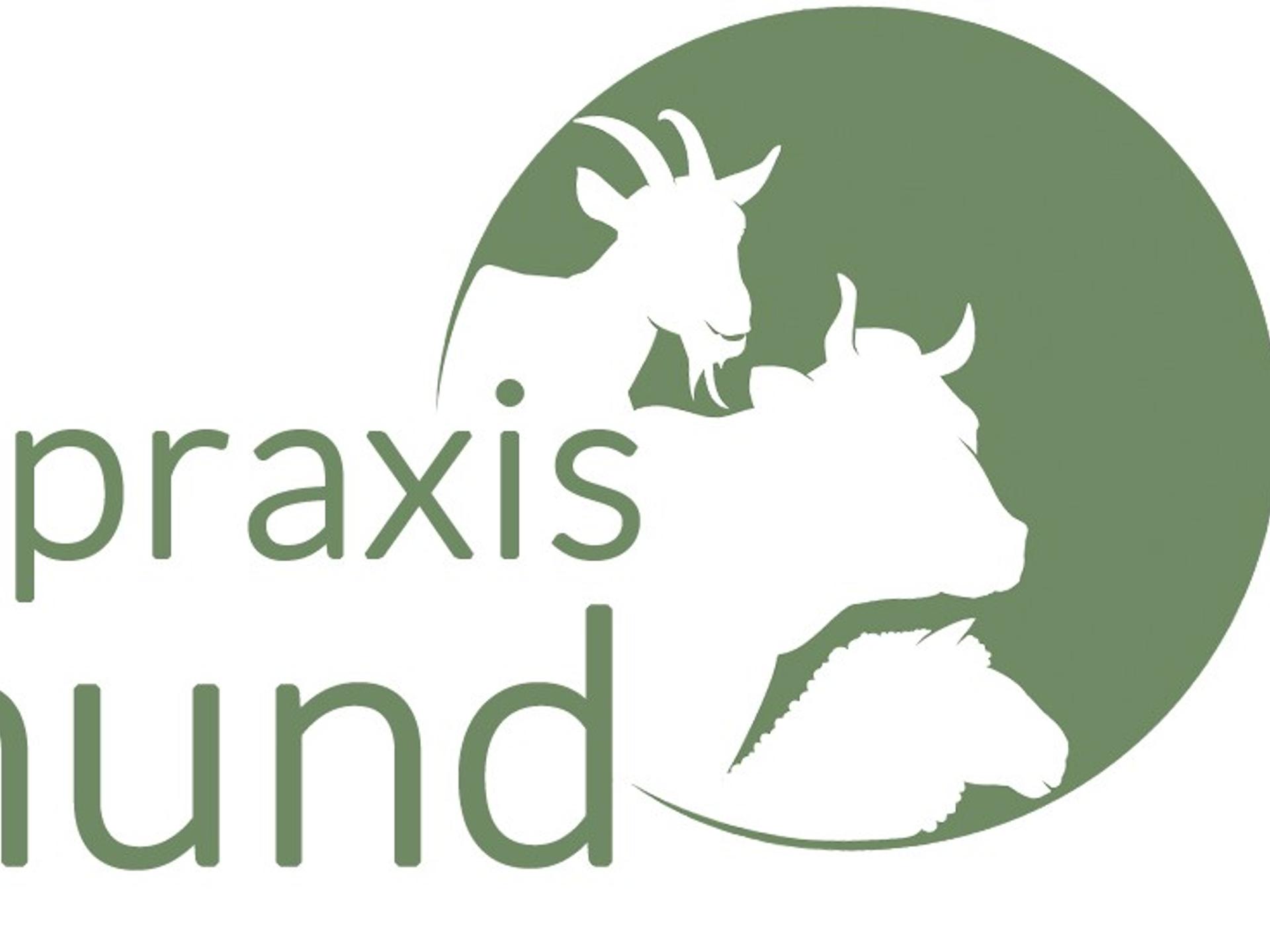 Ansicht 3 von Tierarztpraxis Nina Siegmund für Rinder & kleine Wiederkäuer