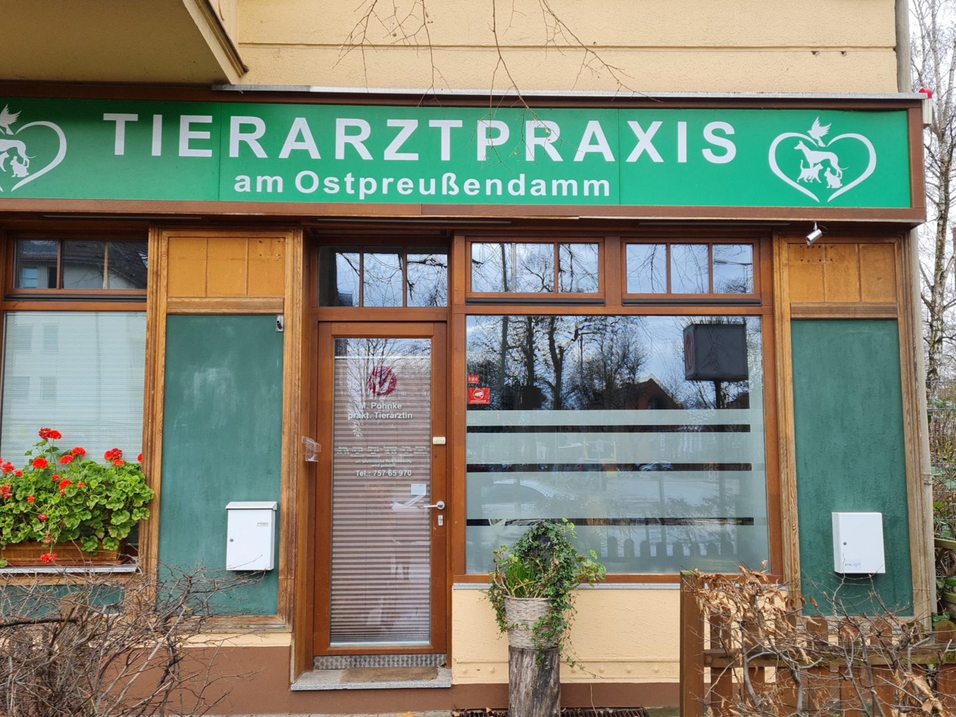 Ansicht 1 von Martyna Pohnke Tierarzt
