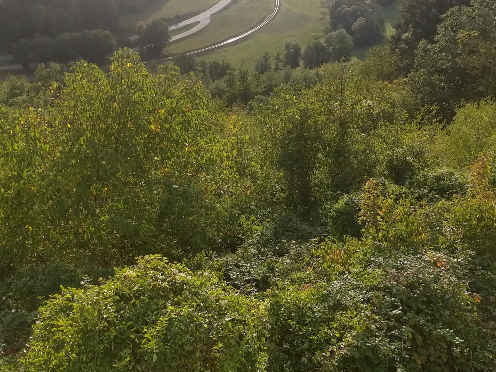 Ansicht 1 von Bender Sabine Dr.