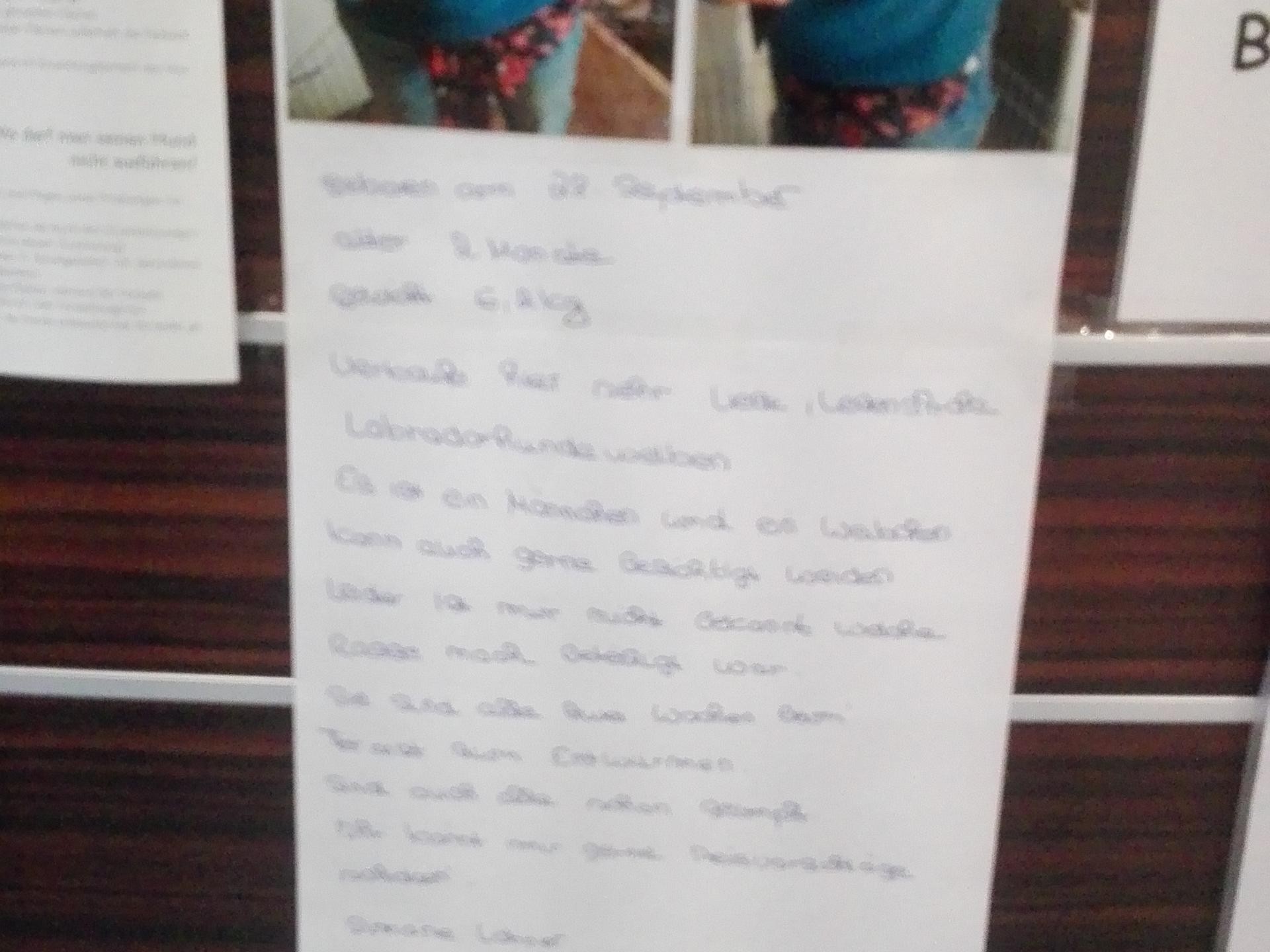 Ansicht 1 von Xaver Mayrshofer Tierarzt