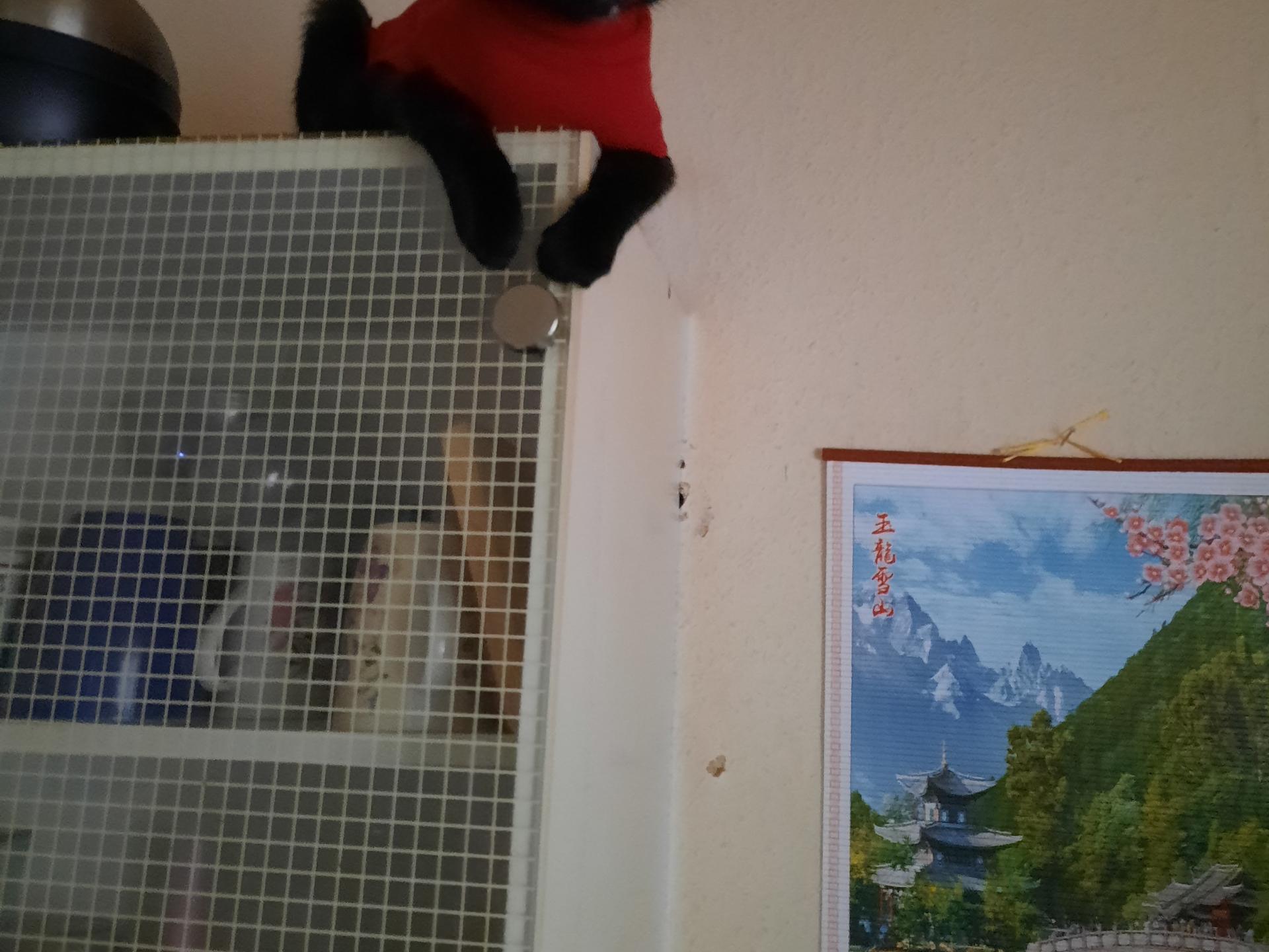 Ansicht 1 von Dr.med.vet. Ute Teutenberg