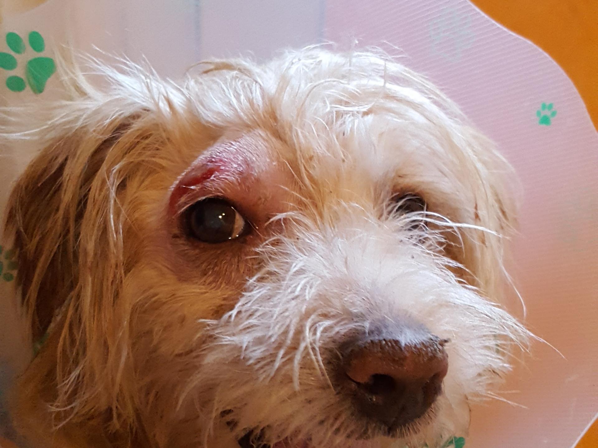 Ansicht 2 von Tierarztpraxis Butendorf