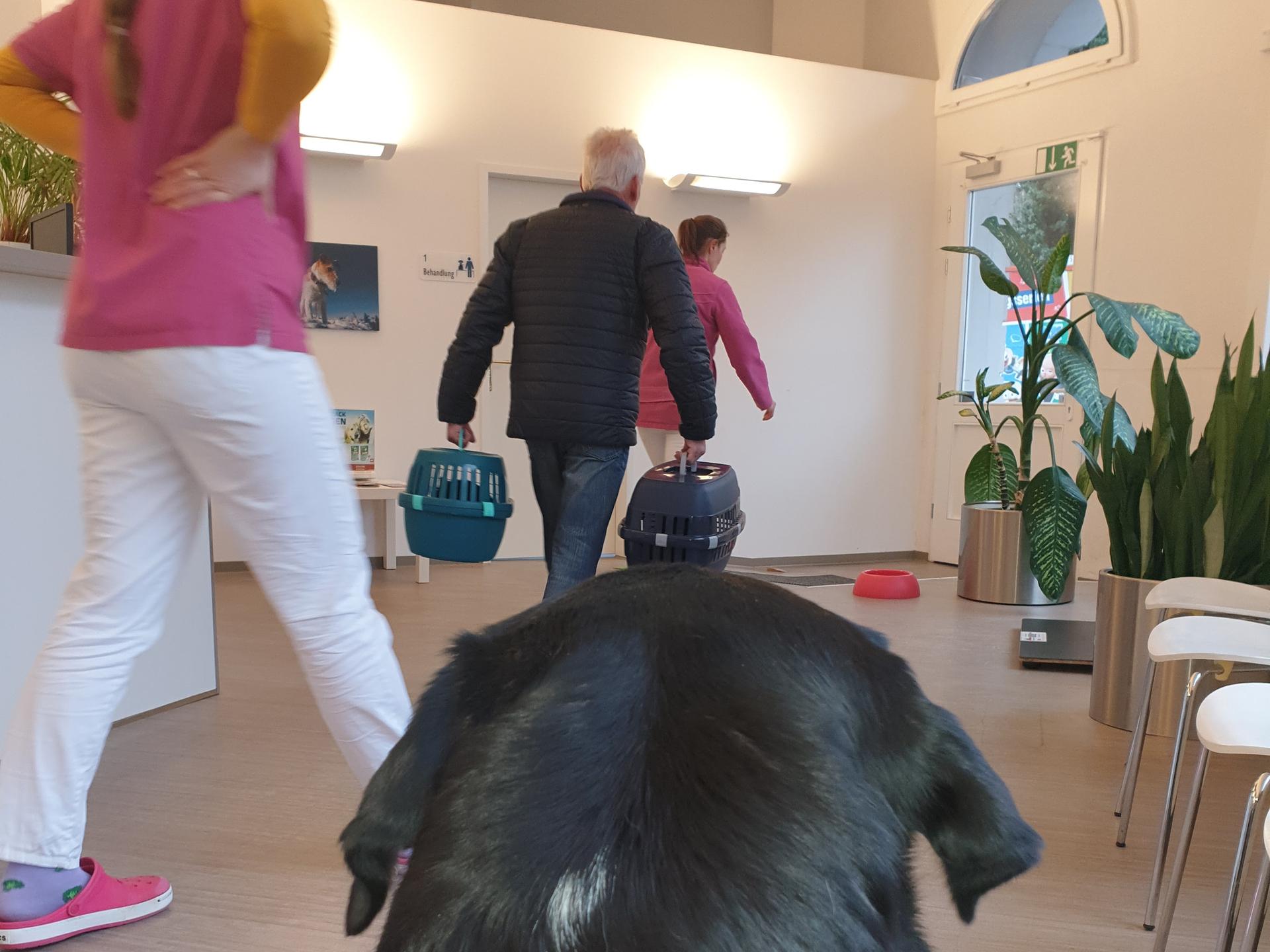 View 2 of Fachtierarztpraxis für Innere Medizin Markkleeberg Dr. med. vet. Imke Körner