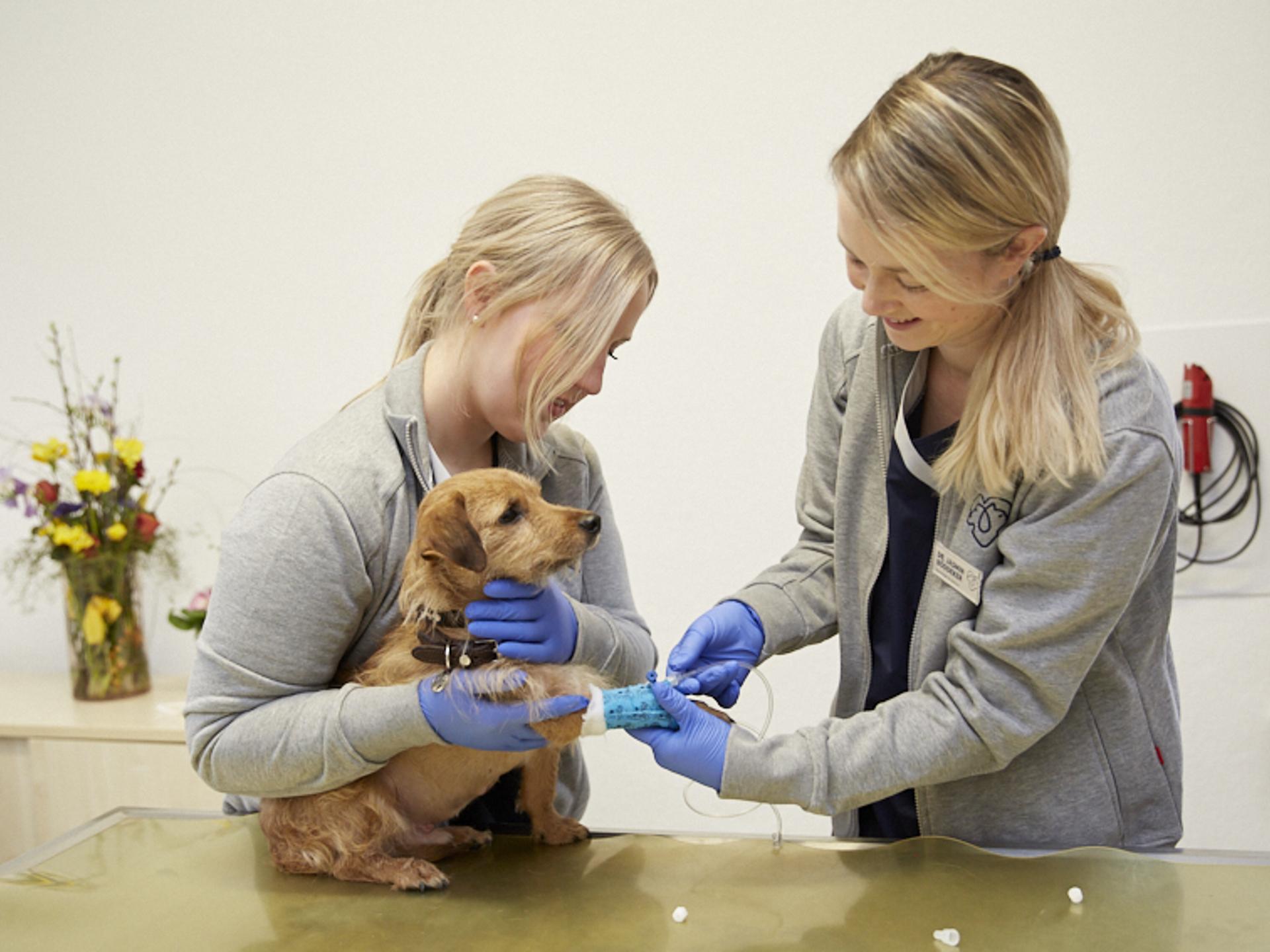 View 1 of Tierärztliche Praxis für Kleintiere Dr. med. vet. Jasmin Böddeker
