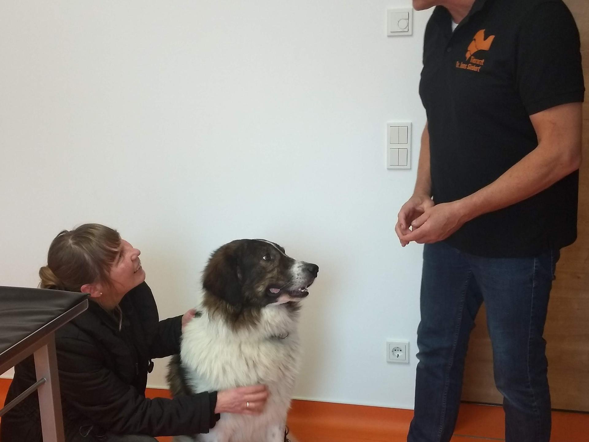 Ansicht 2 von Tierarztpraxis Dr. Jens Siebert