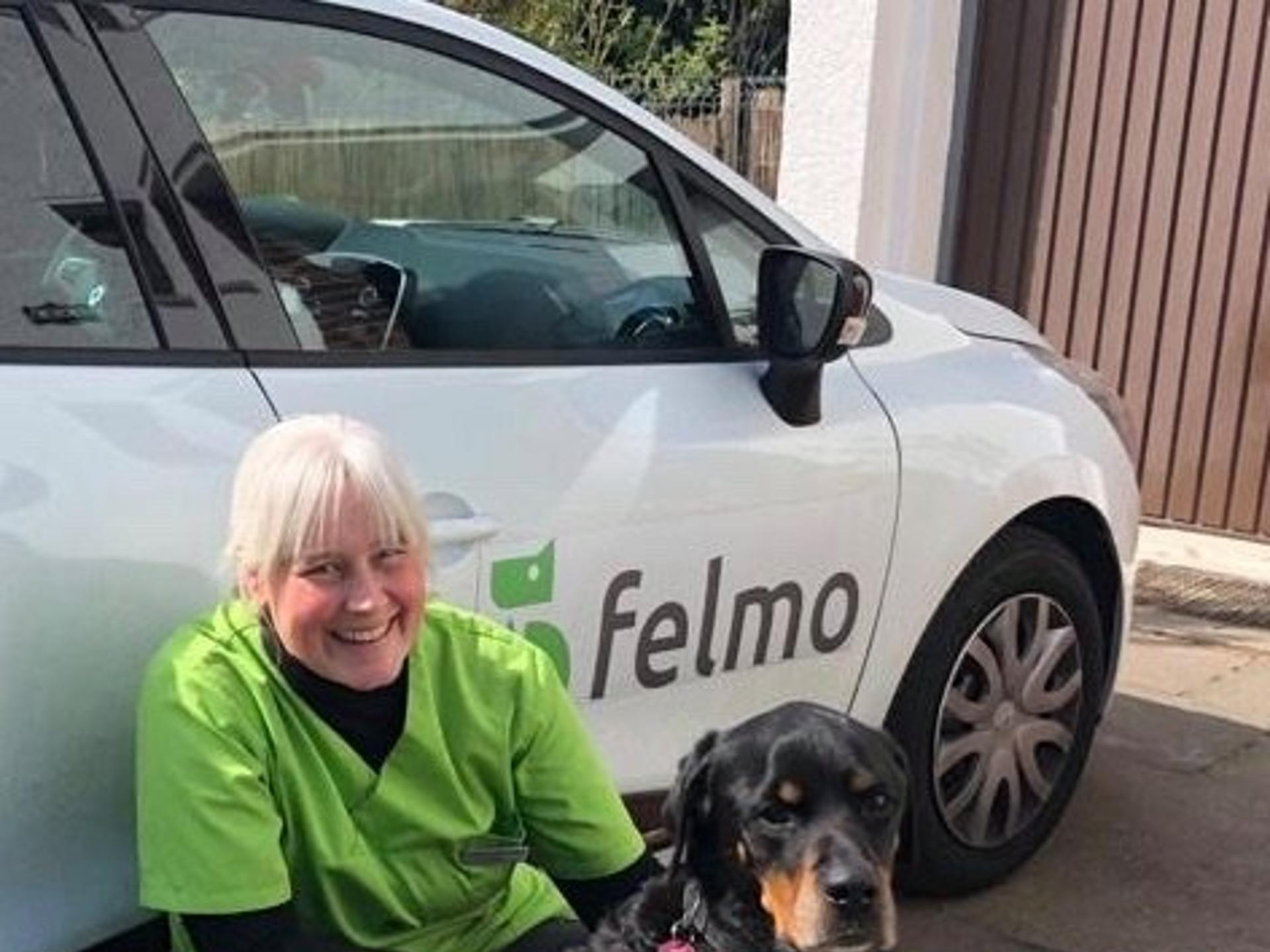Ansicht 2 von felmo Mobiler Tierarzt Darmstadt