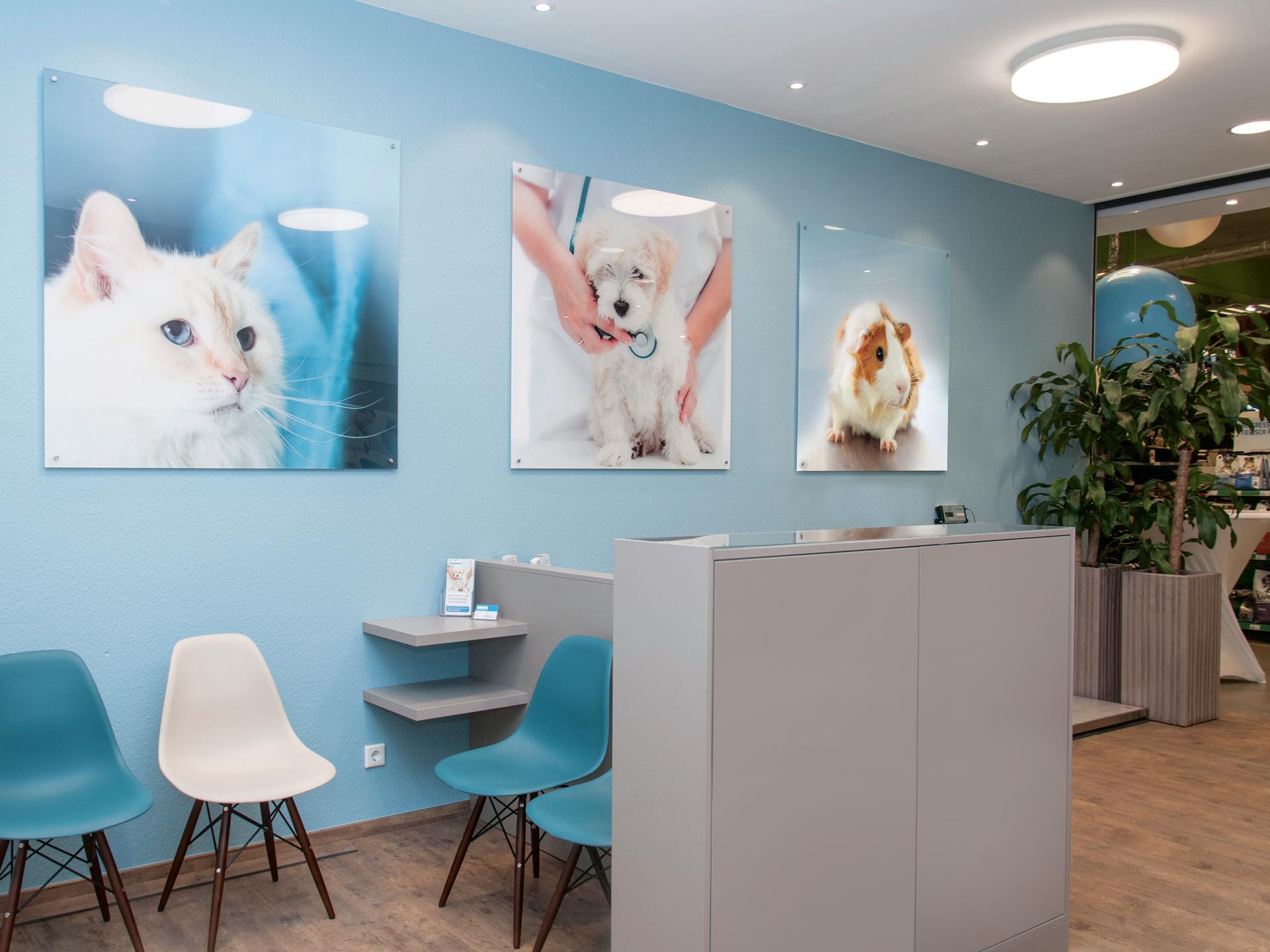 Ansicht 1 von Tierarzt Krefeld, Tierarztpraxis Activet Krefeld