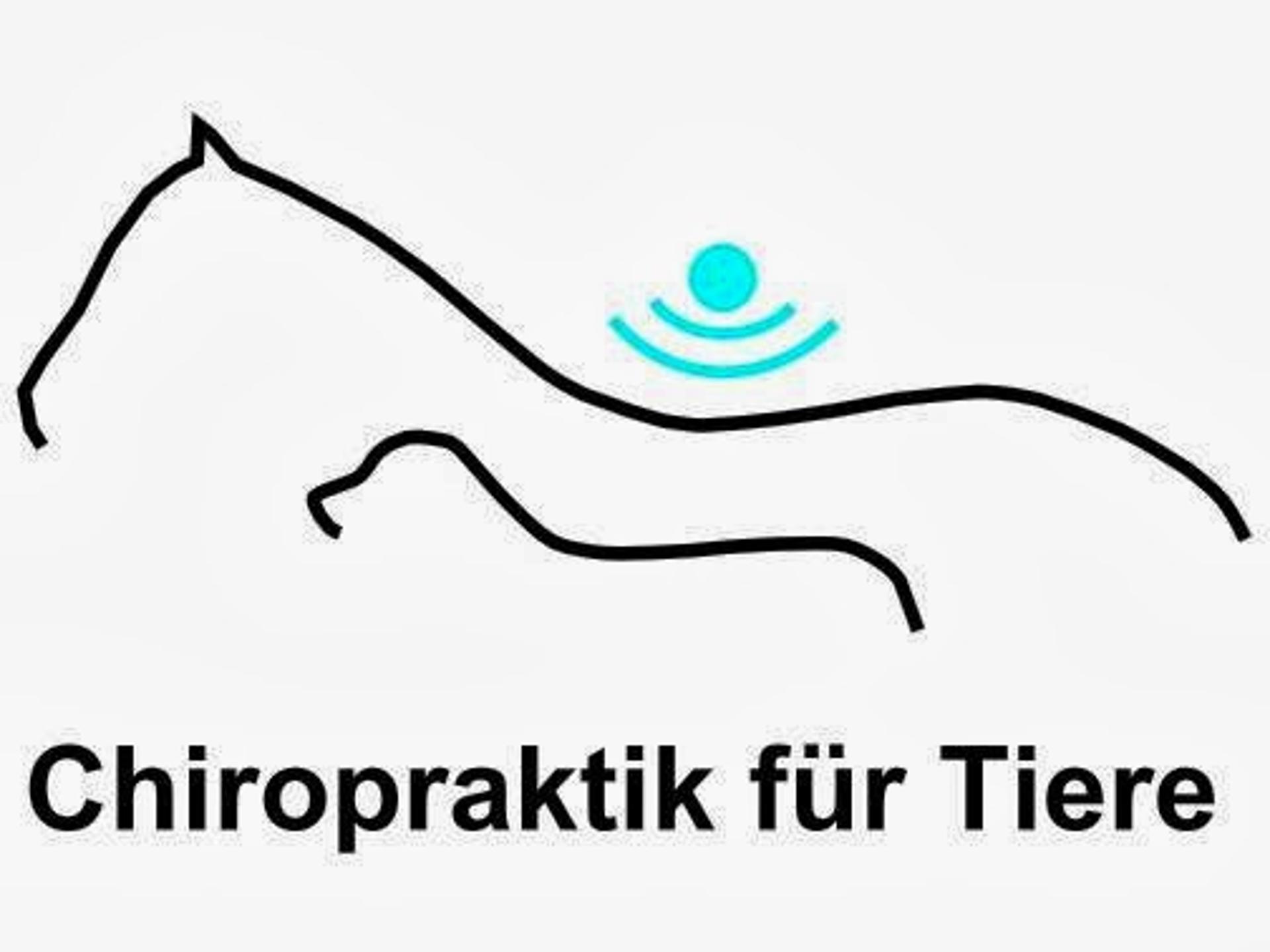 View 1 of Tierarztpraxis für Chiropraktik Dr. med. vet. Inken Hilgenstock