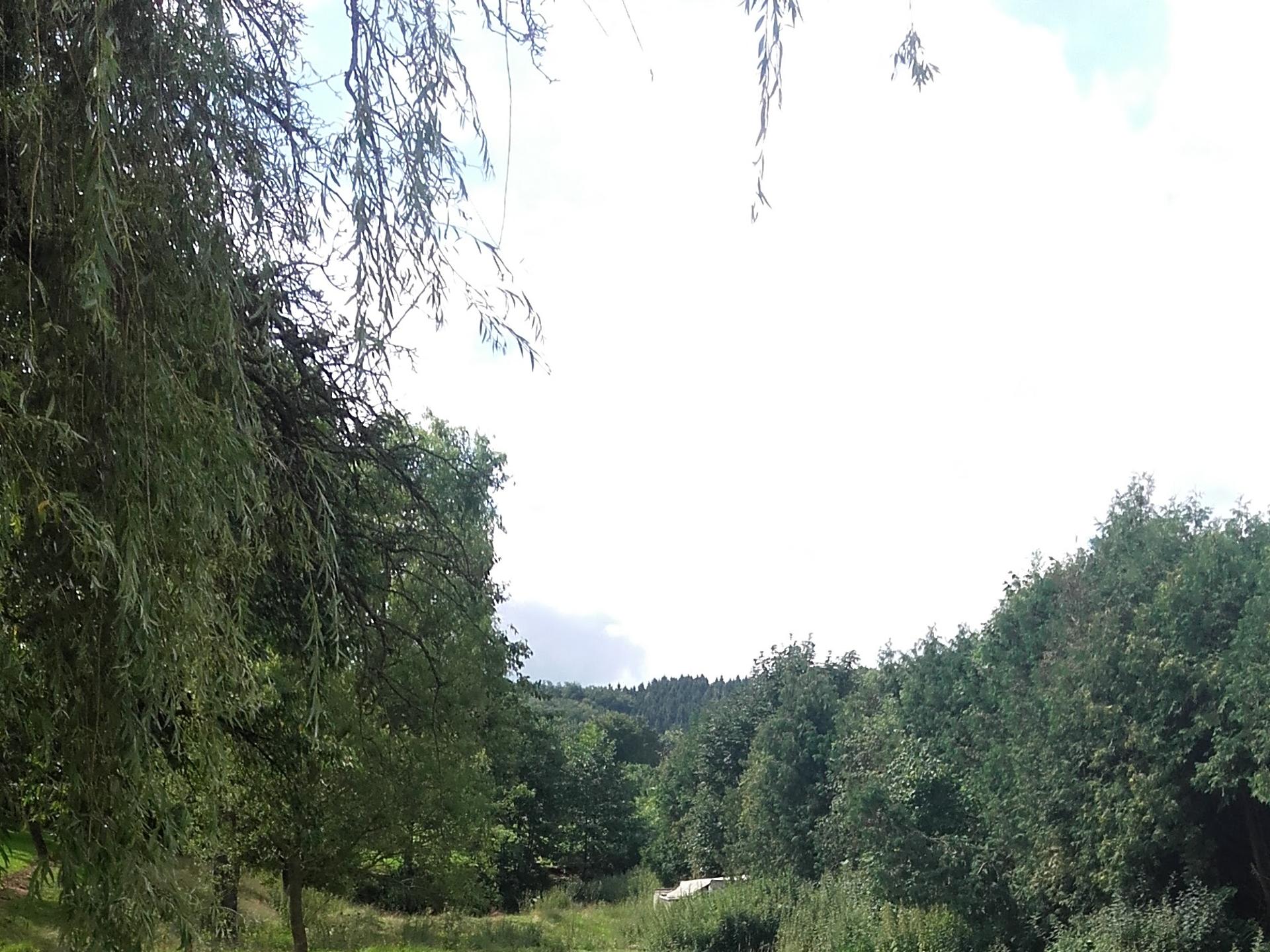View 1 of Dr.med.vet. Anke Thiemann Tierärztin