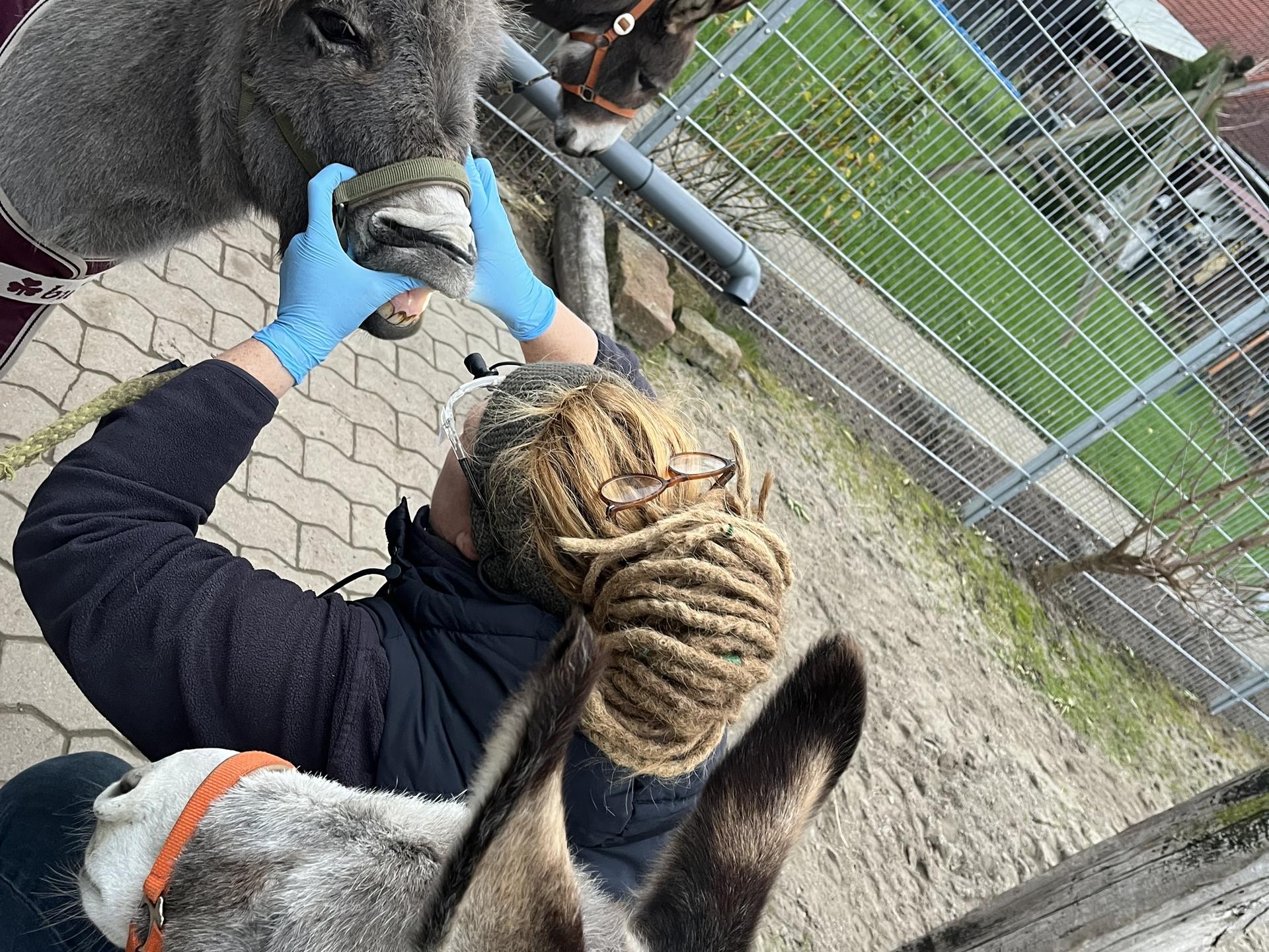 Ansicht 1 von Kerstin Rückwardt