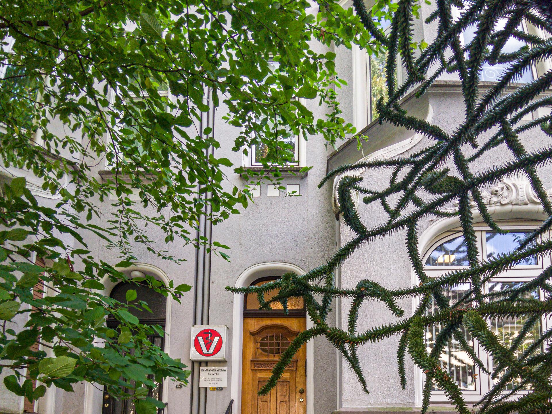 View 4 of Dr.med.vet. Charlotte Virchow Tierärztin