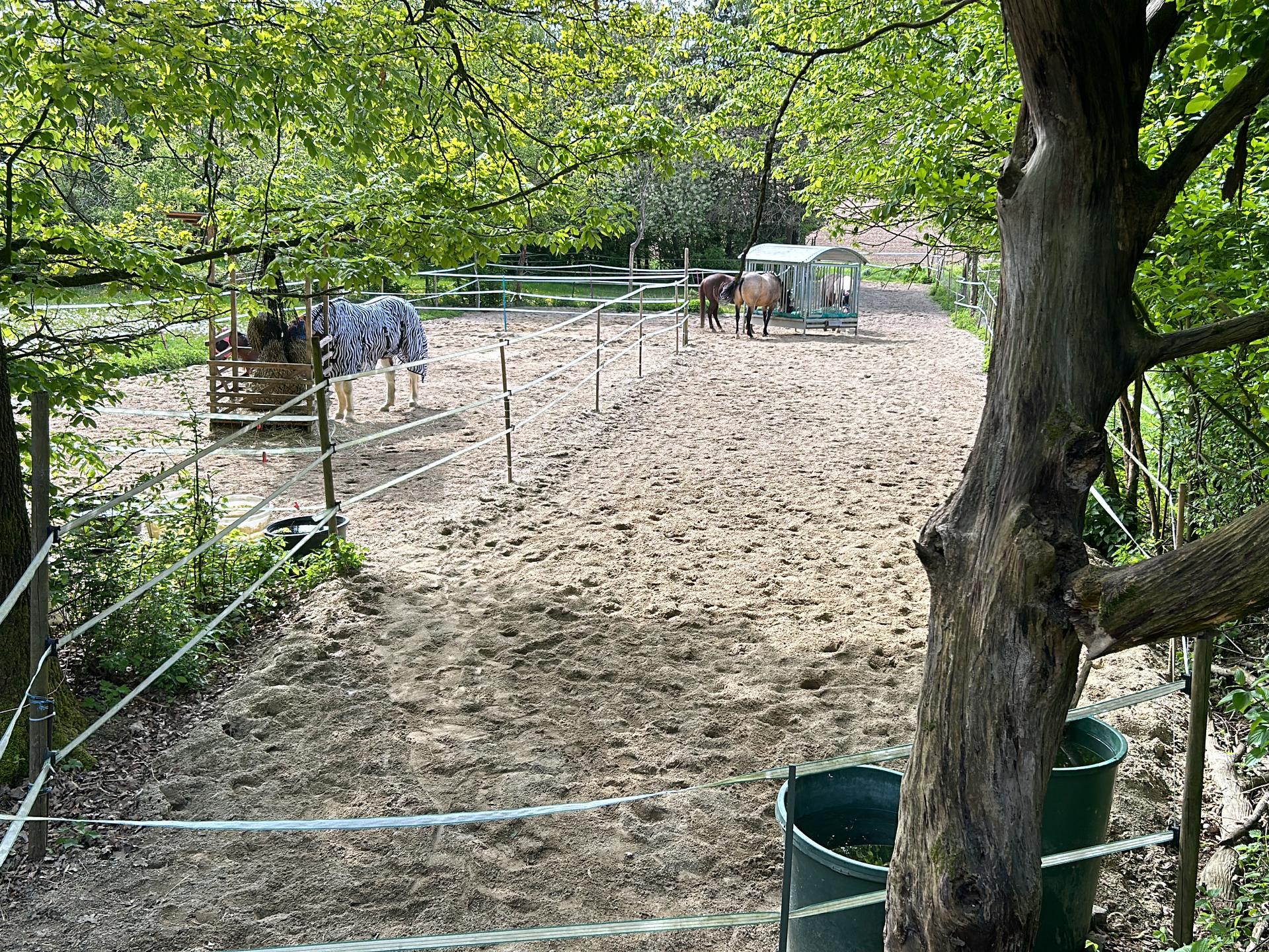 Ansicht 2 von Tierklinik Schierling