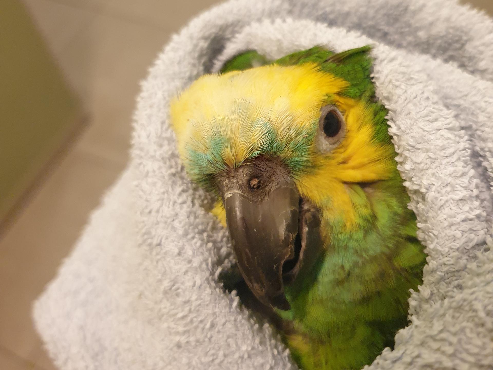 View 1 of Dr. Petra Zsivanovits Tierärztliche Praxis für Vogelmedizin