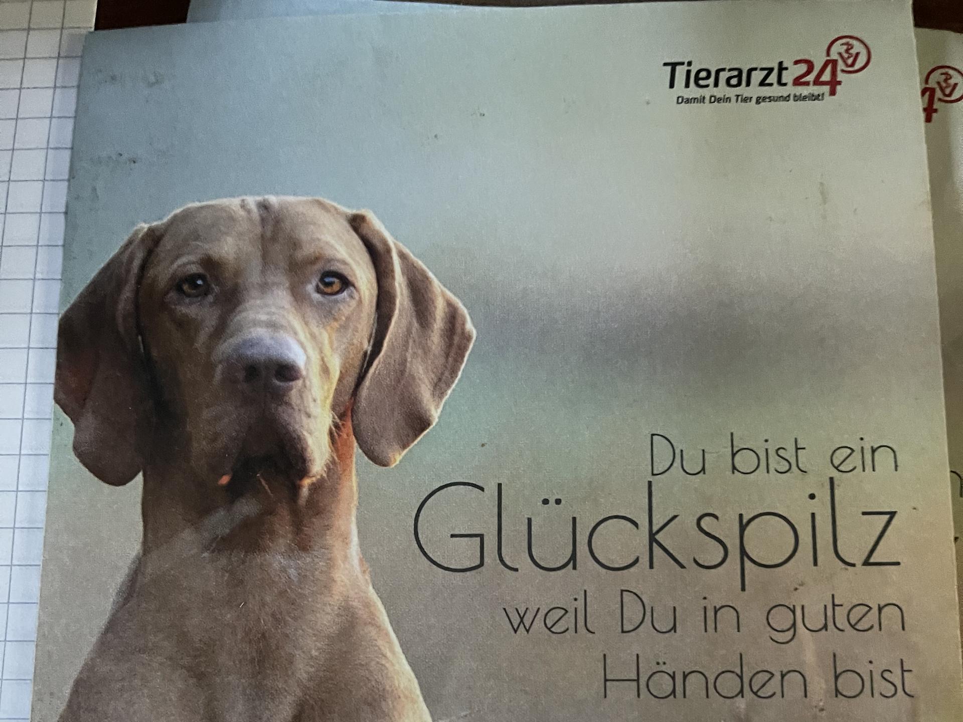 Ansicht 1 von Tierarztpraxis Dr.Katja Tischer