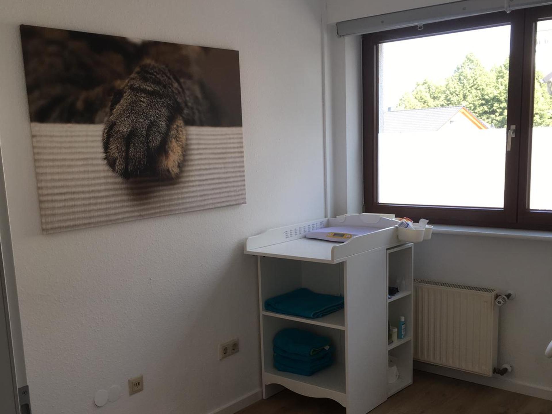 Ansicht 1 von Hund Katze Haut - Königswinter