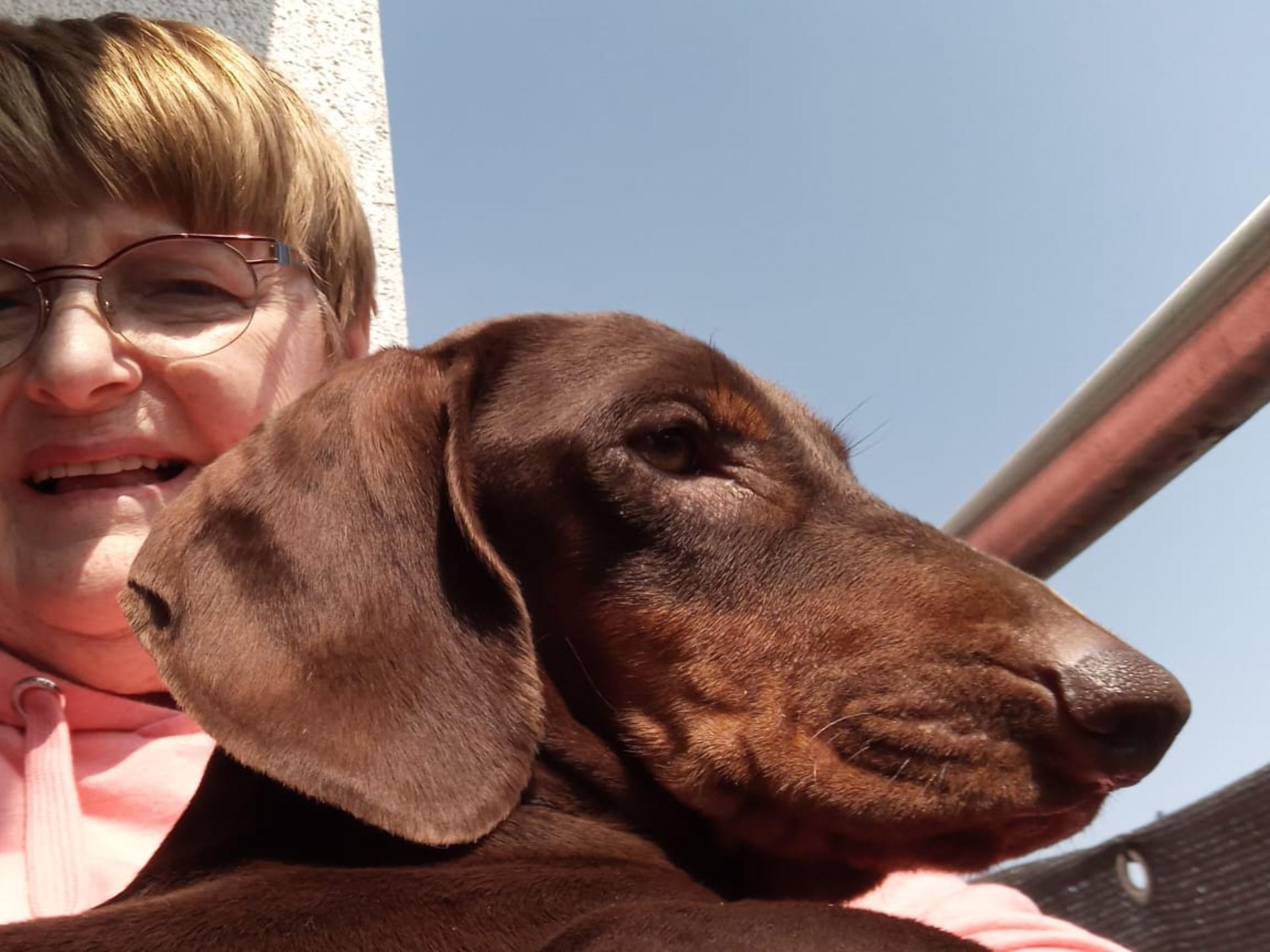 Ansicht 3 von Hund Katze Haut - Königswinter