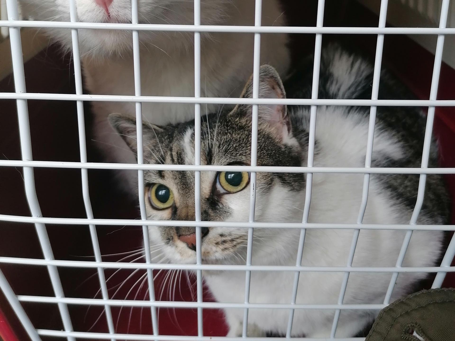 Ansicht 1 von Tierklinik Blaichach