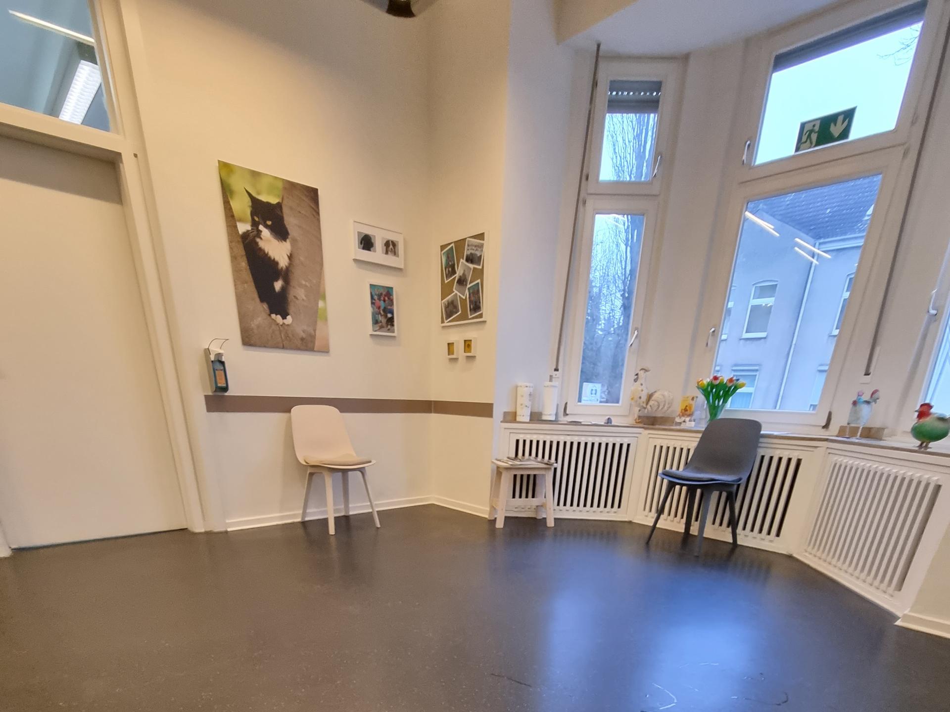 View 3 of Tierärztin Christine Cilurzo