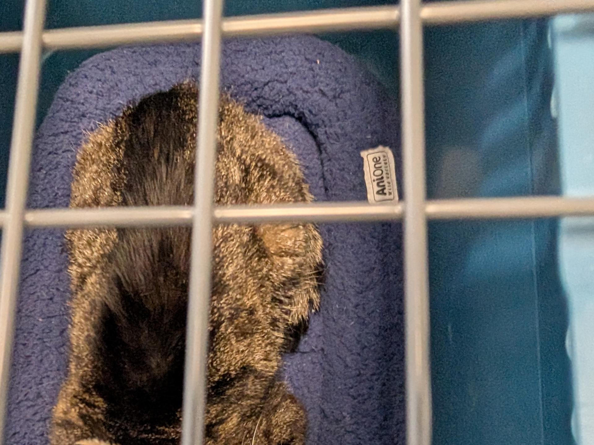 Ansicht 2 von Dr. med. vet. Sandra Härtter Tierarztpraxis
