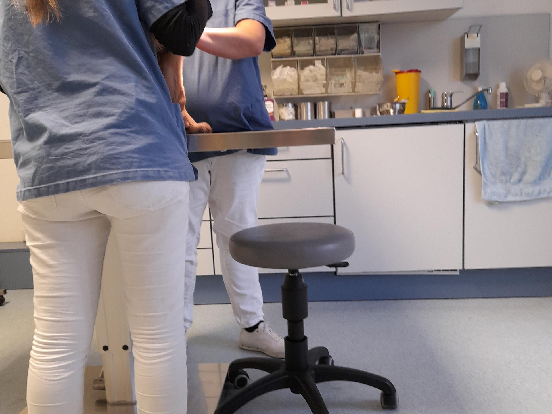 Ansicht 4 von Dr. med. vet. Sandra Härtter Tierarztpraxis