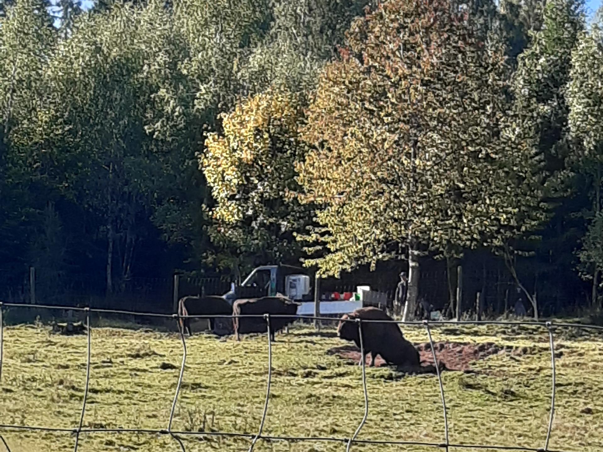 Ansicht 2 von Tierarztpraxis Wasserkuppe Fr. Dr. med. vet. T. Weber