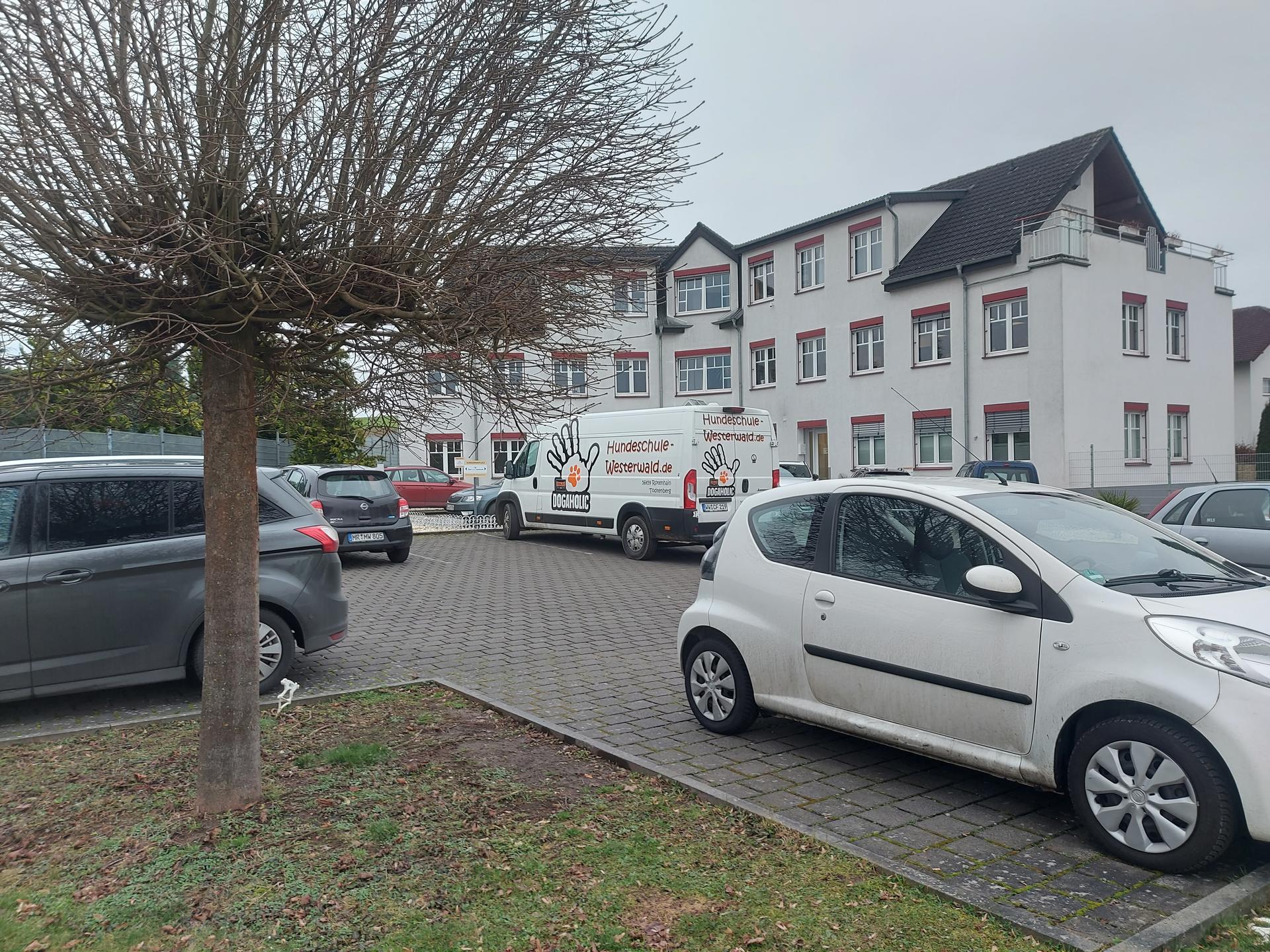 View 1 of Dr. Birgit Koerschgen, Lea Bot und Dr.Emma Hübers - Tieraugenzentrum