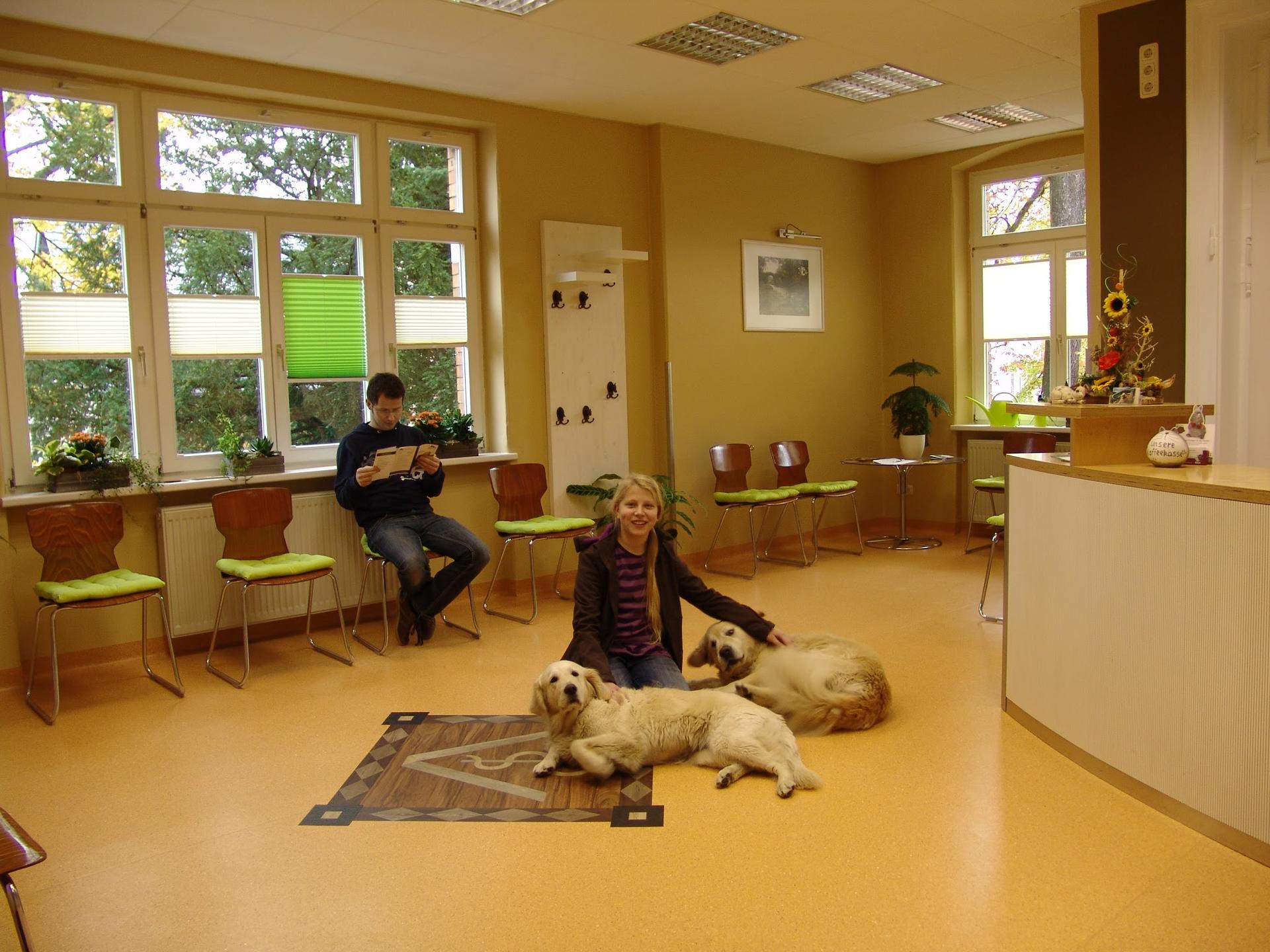 Ansicht 2 von Kleintierpraxis & Tierpension Dr. med. vet. Anke Horn