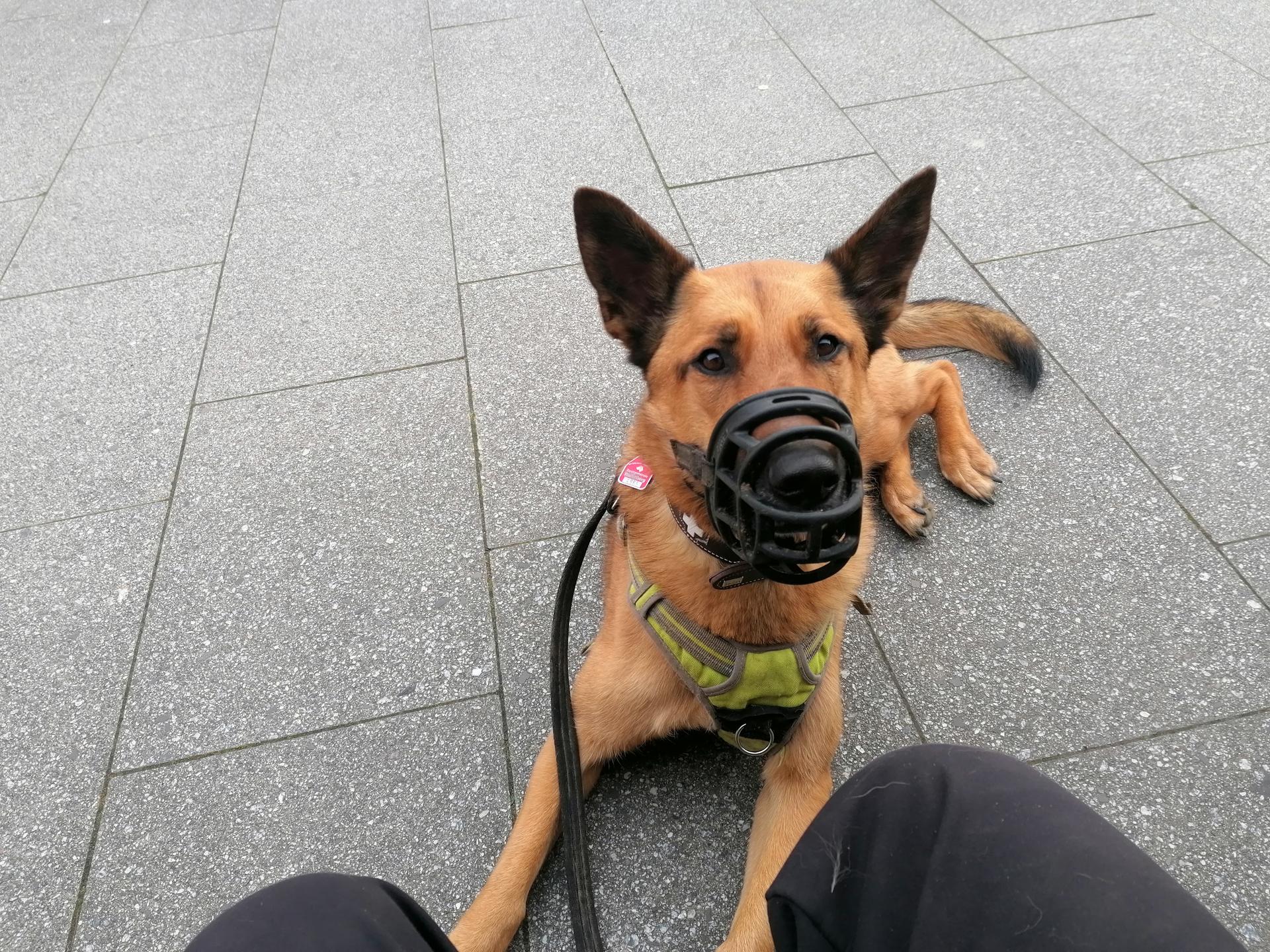 Ansicht 1 von Tierärztliche Praxis für Kleintierverhalten