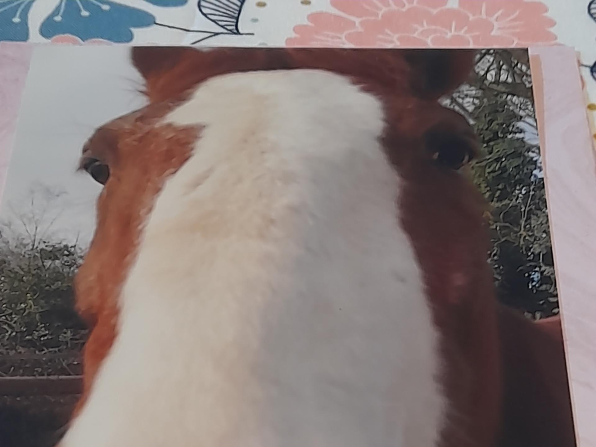 Ansicht 1 von Tierarztpraxis Am Rotweg - Dr. med. vet. Catherine Hauck